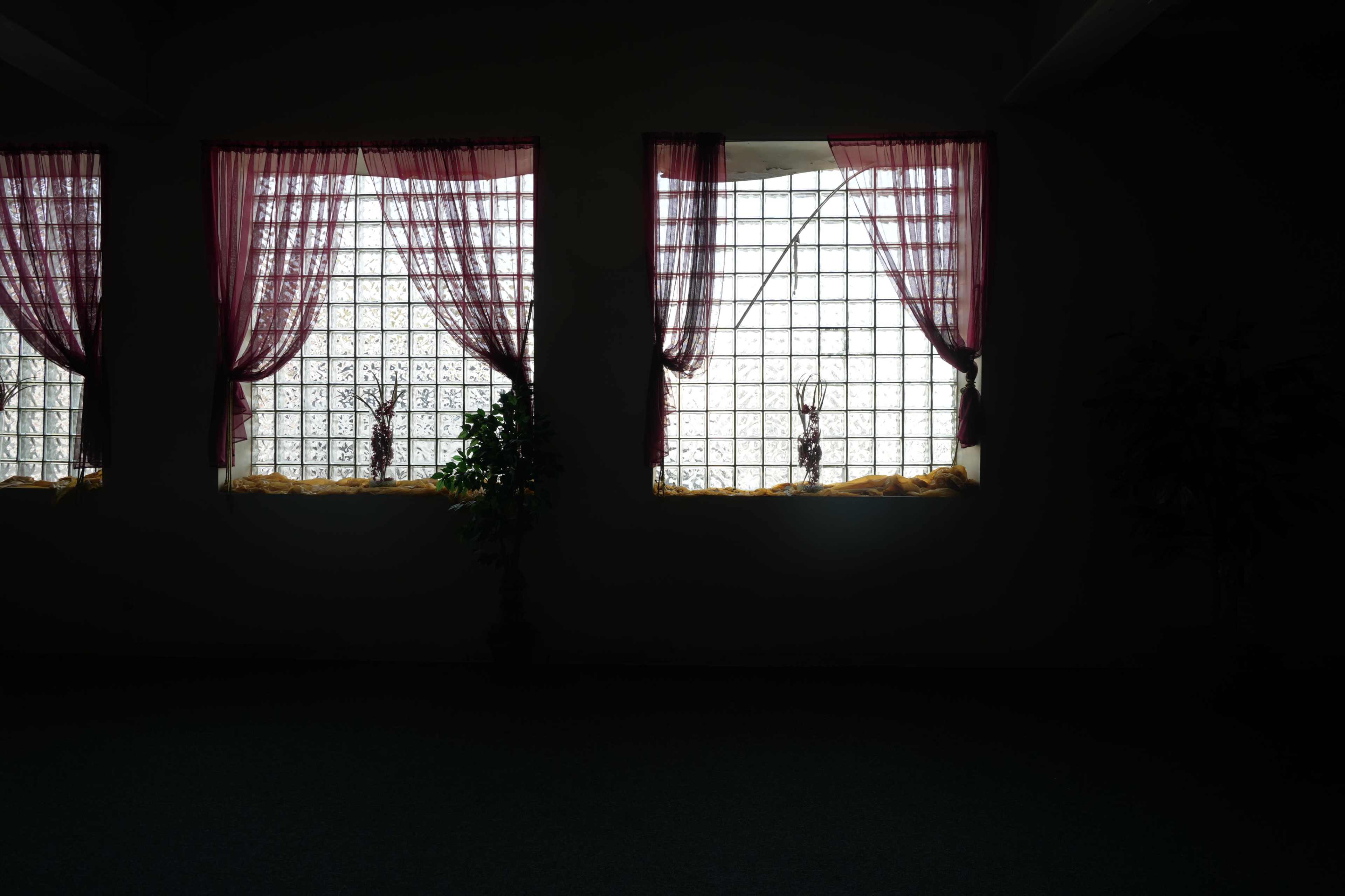 Three windows with sheer curtains and decorative plants are framed by a wall in a dimly lit room.