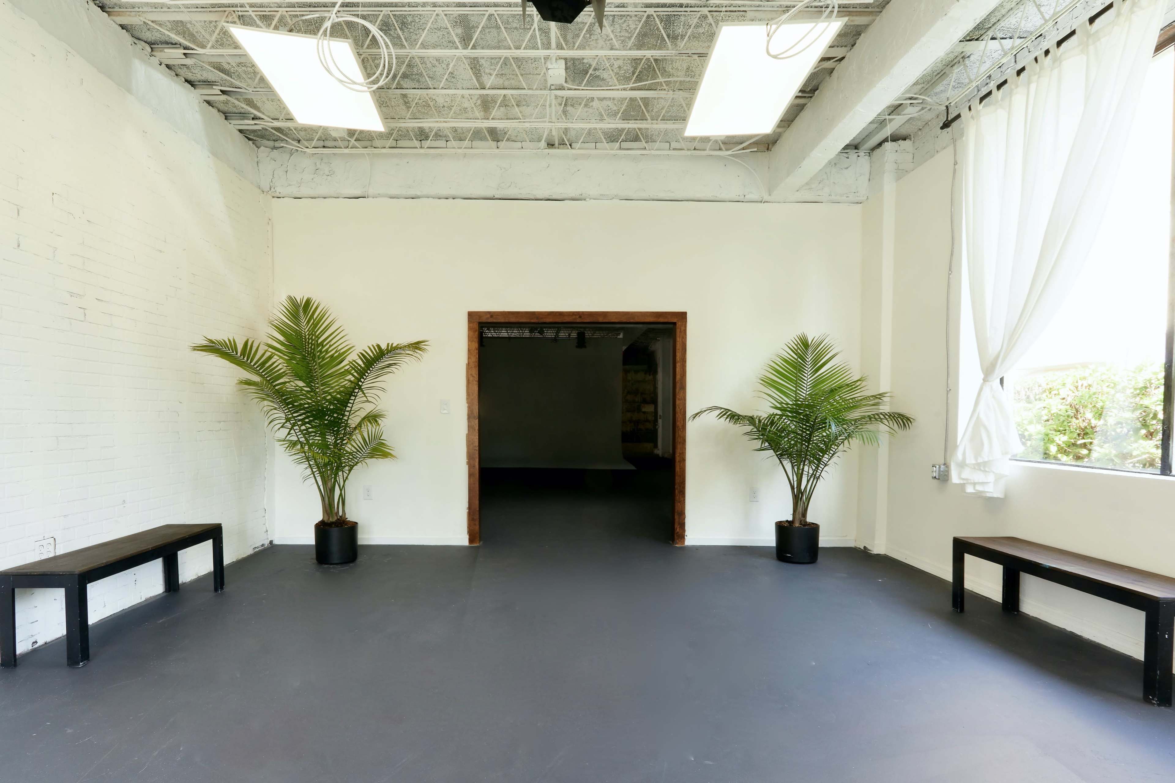A minimalist interior space with two potted palm plants flanking a doorway, and benches positioned along the walls.