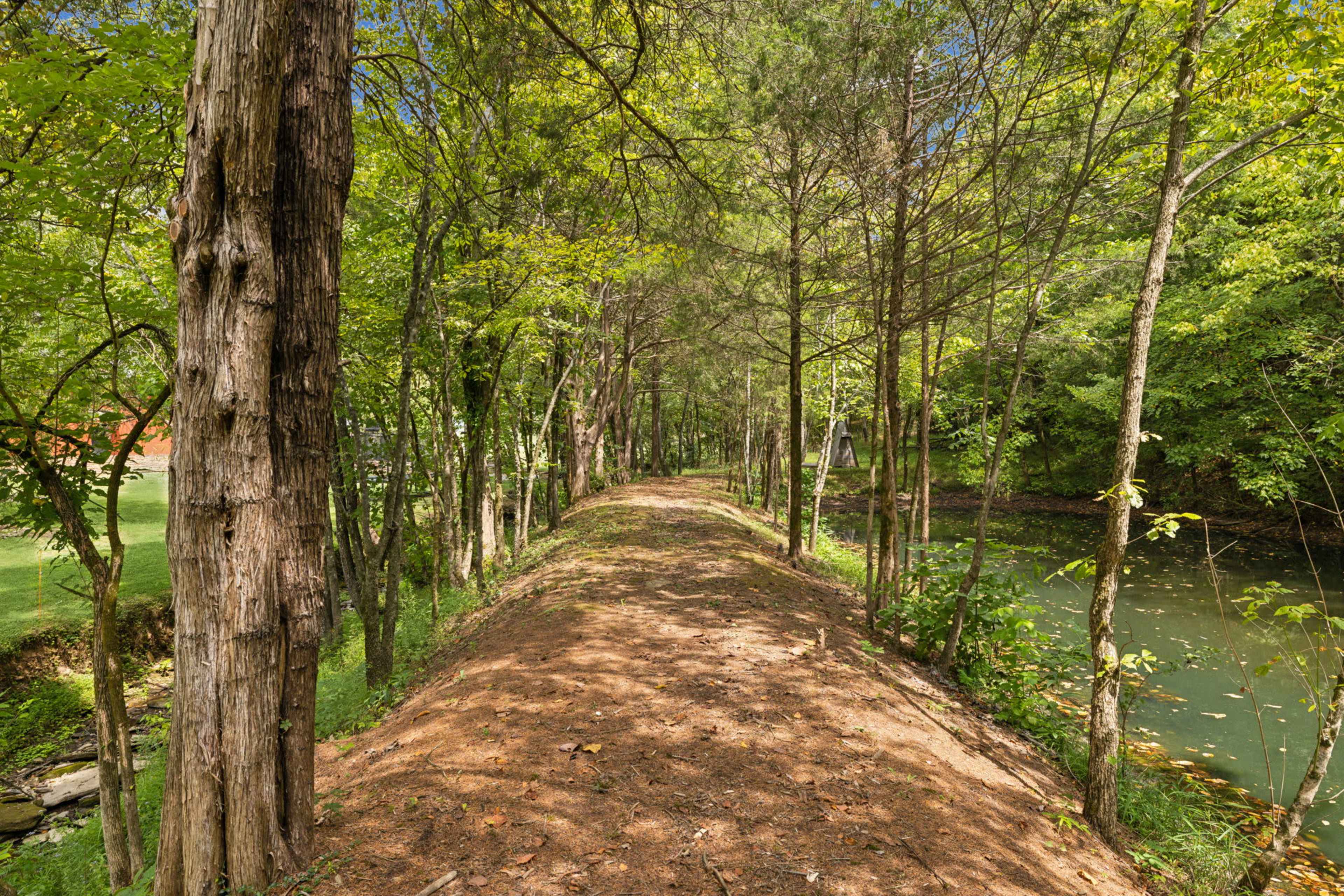 A dirt path bordered by trees runs parallel to a quiet stream in a wooded area.