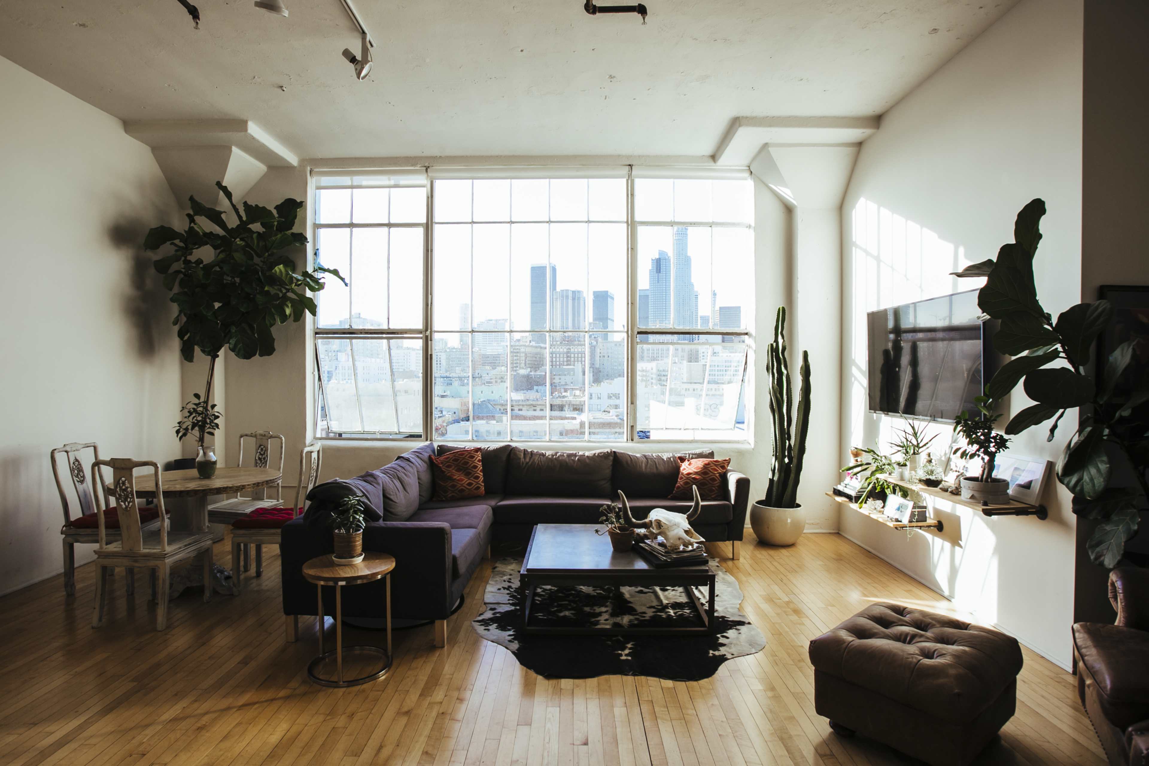 A spacious living room features large windows with a view of a city skyline, furnished with a sofa, coffee table, and indoor plants.
