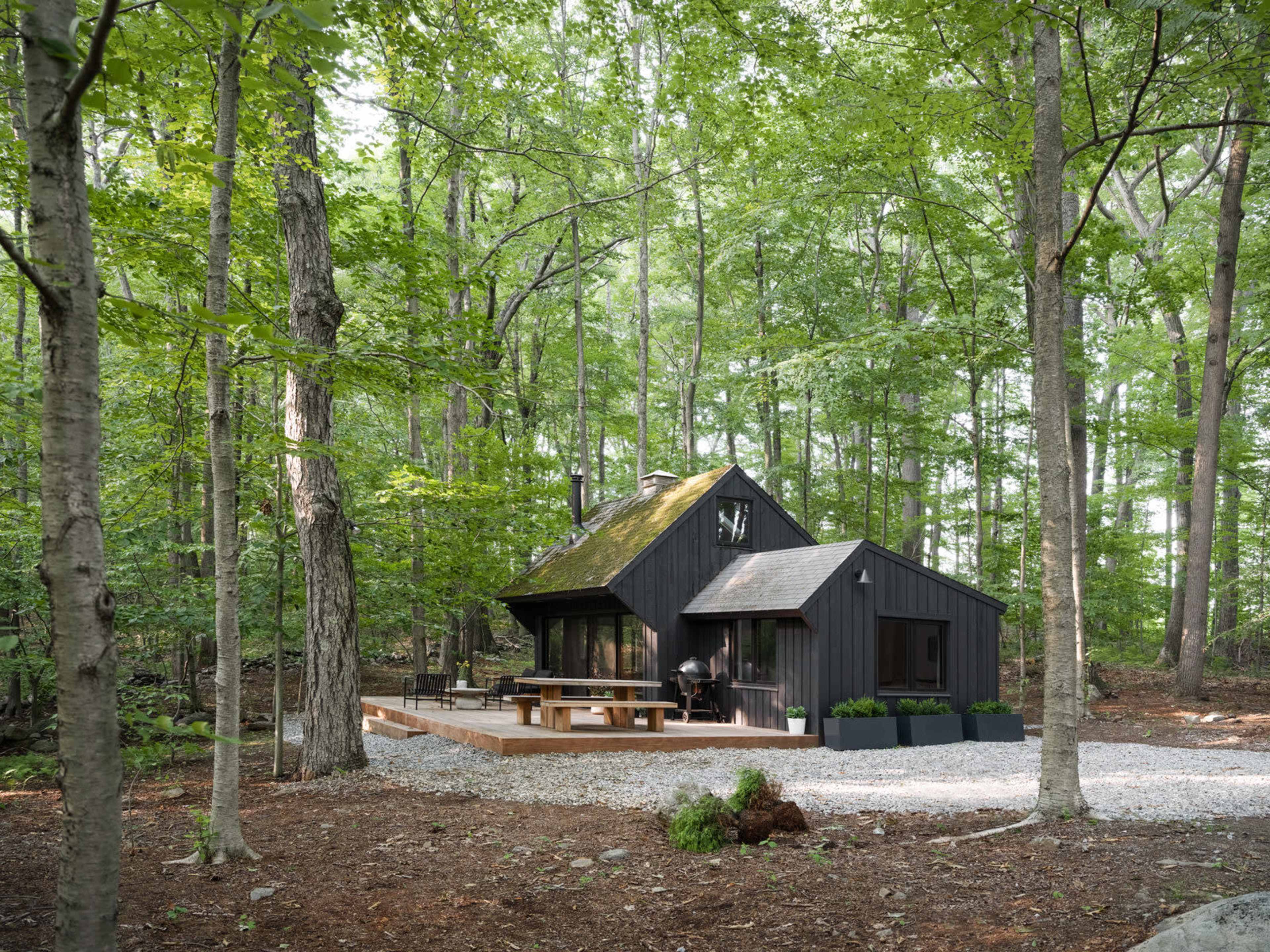 A black wooden cabin with a sloped roof sits on a gravel patio surrounded by trees in a forested area.