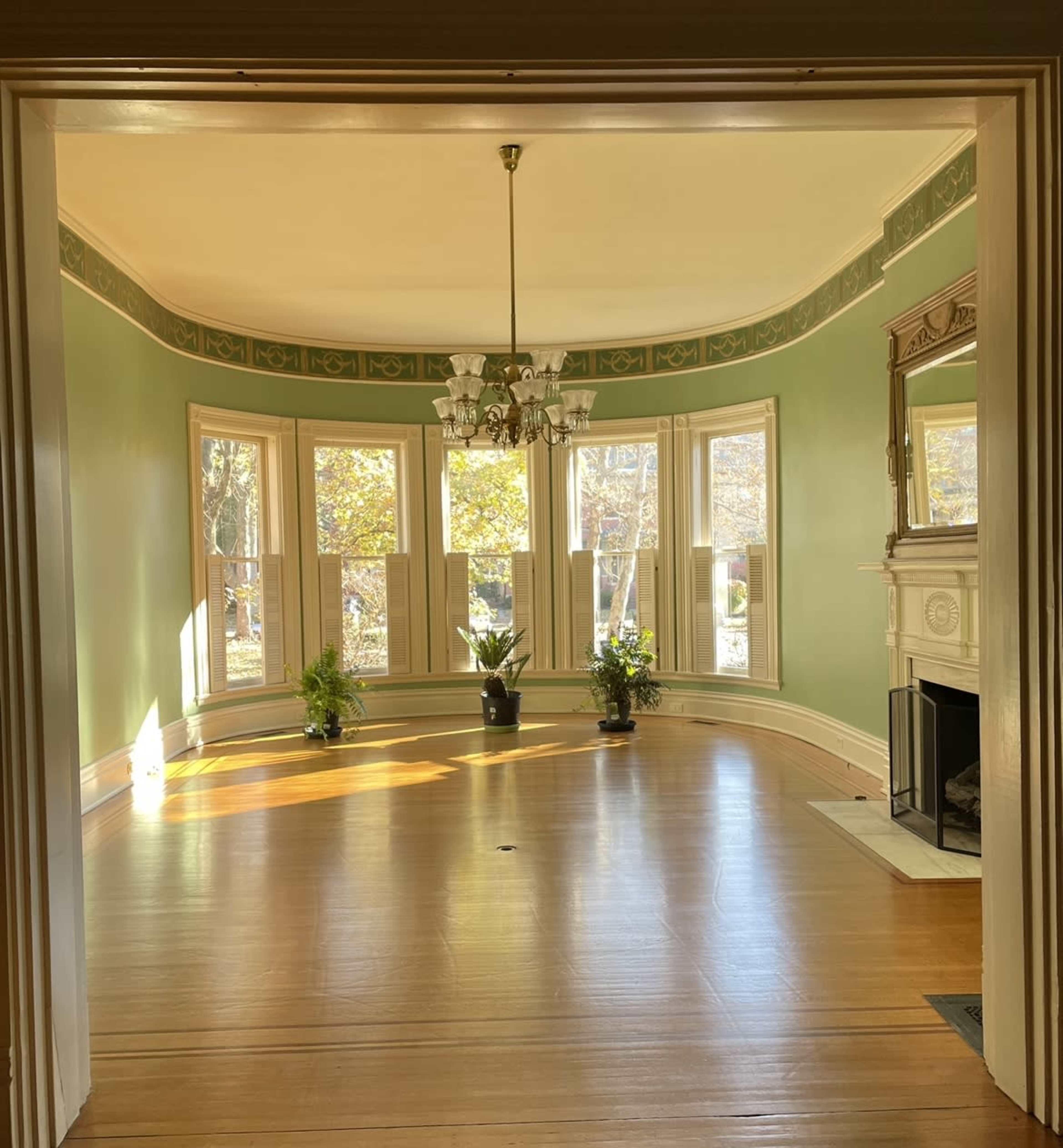 A spacious, light-filled room with green walls, a decorative ceiling, and large windows featuring potted plants.