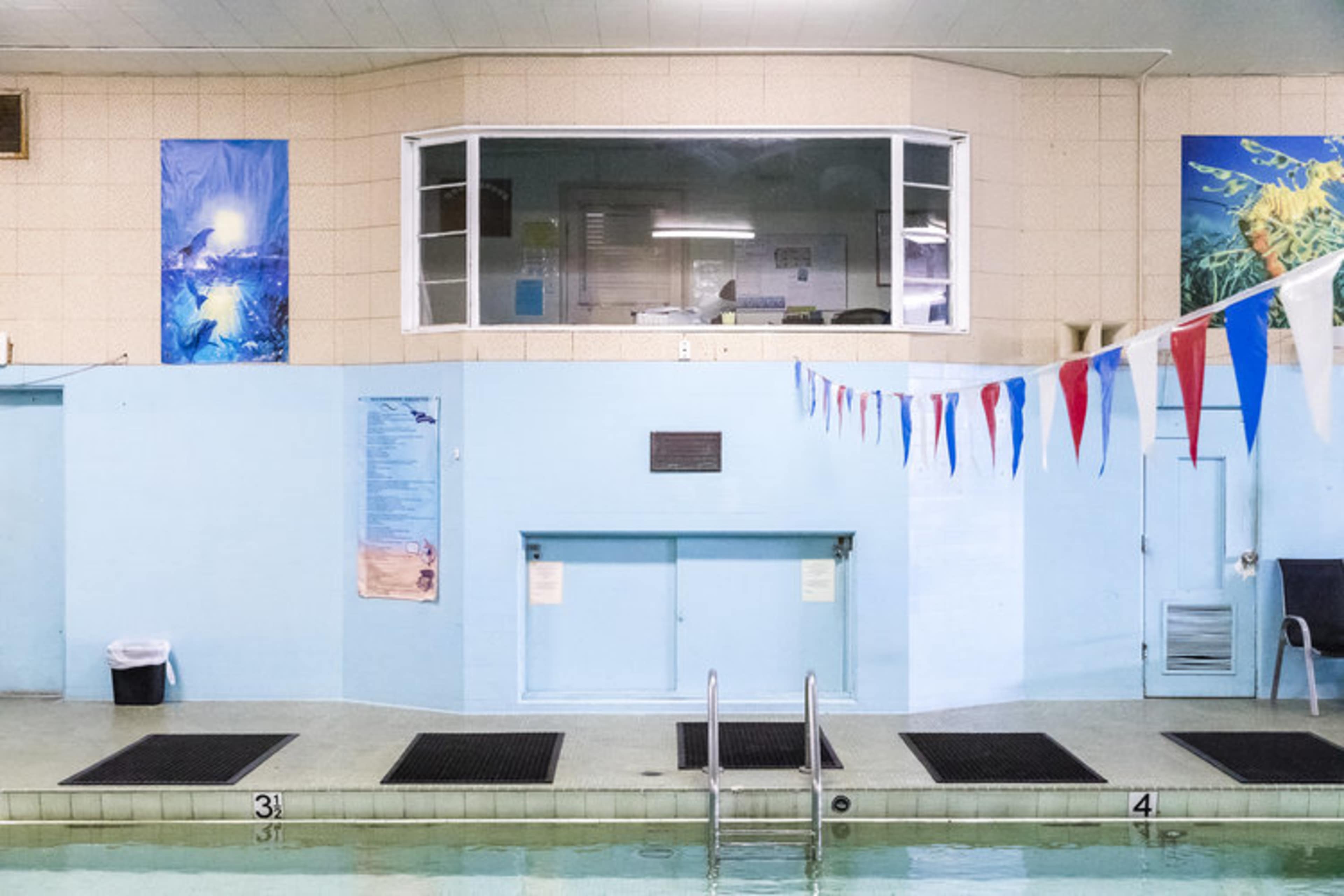 An indoor swimming pool with lane markers, a viewing area with windows, and decorative wall art.