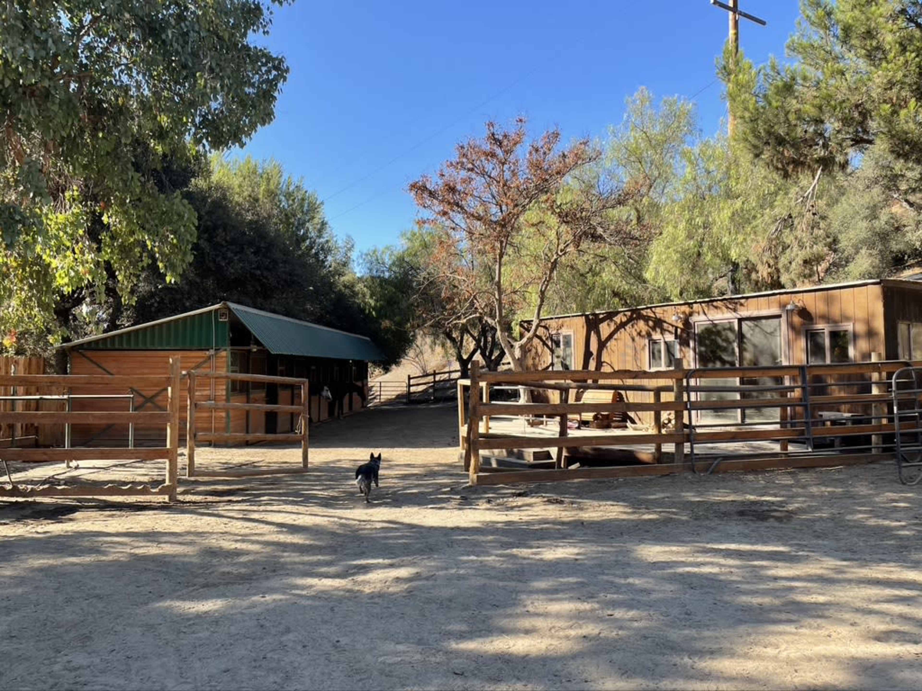 The image shows a dirt area with two wooden structures, a fenced enclosure, and a small dog walking near the buildings.