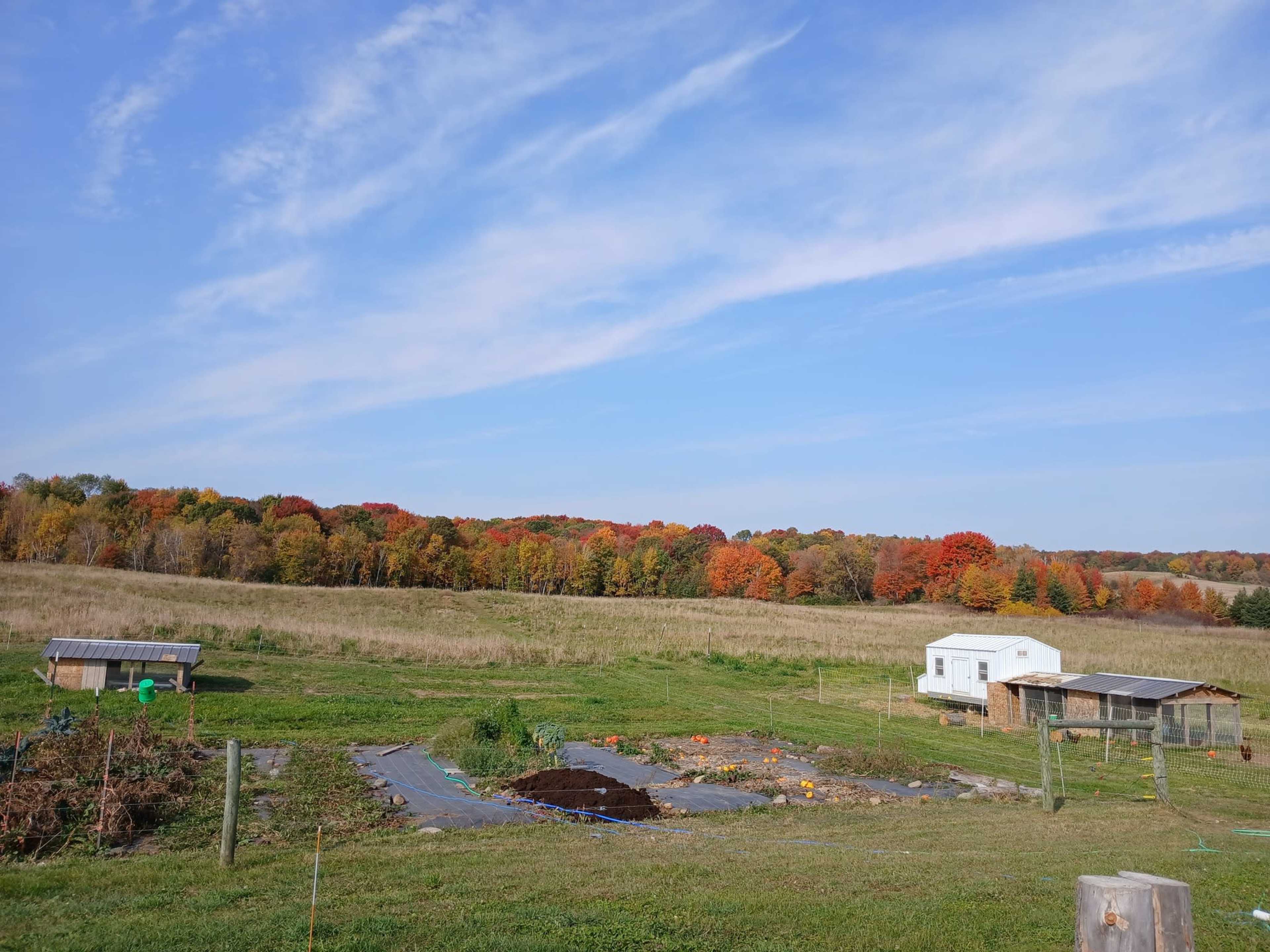 The image shows a rural landscape with a garden plot, a few farm structures, and trees displaying autumn colors in the background.