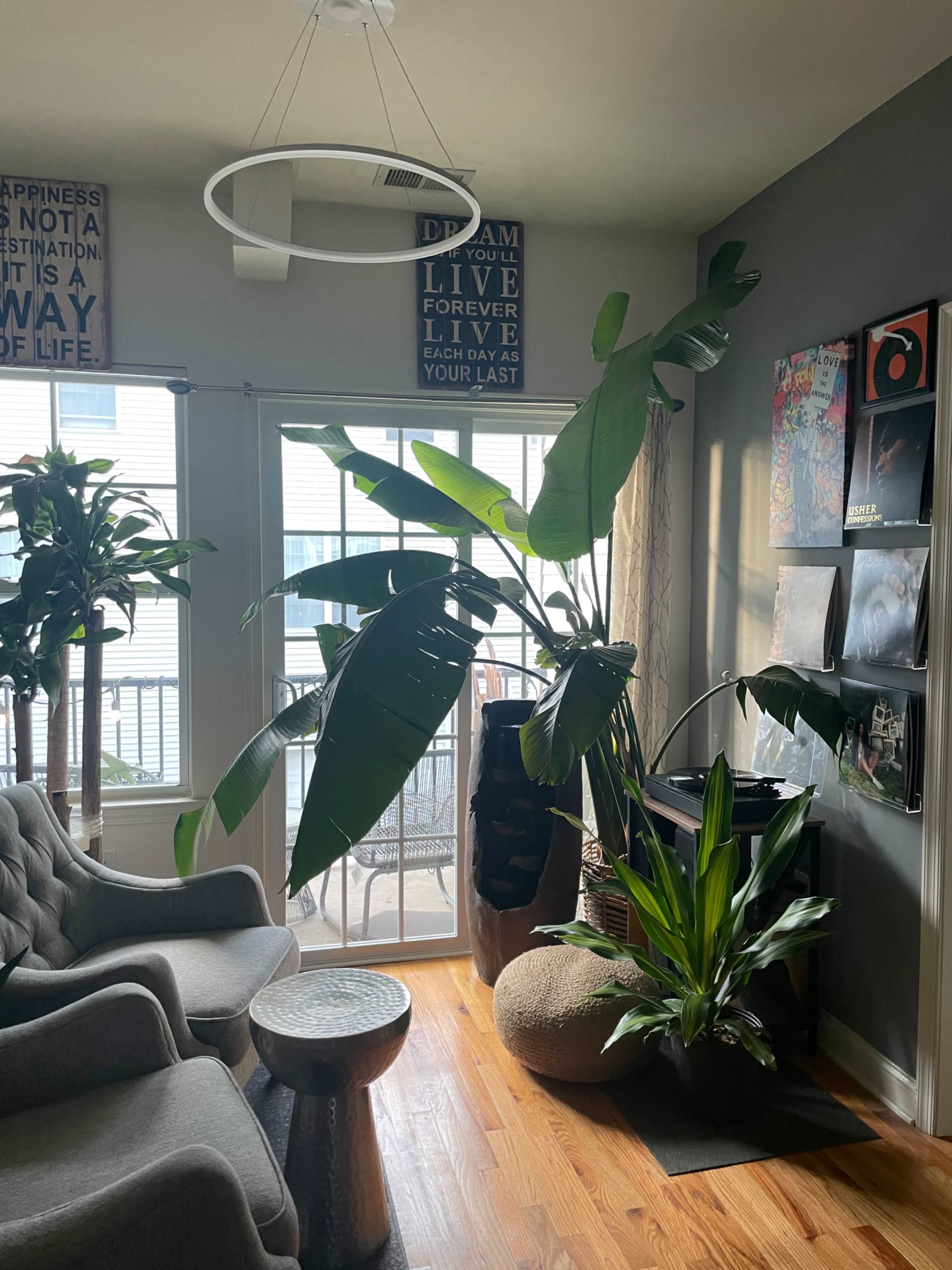 A living room features two large potted plants, a circular ceiling light, a wooden floor, and a sliding glass door leading to a balcony.