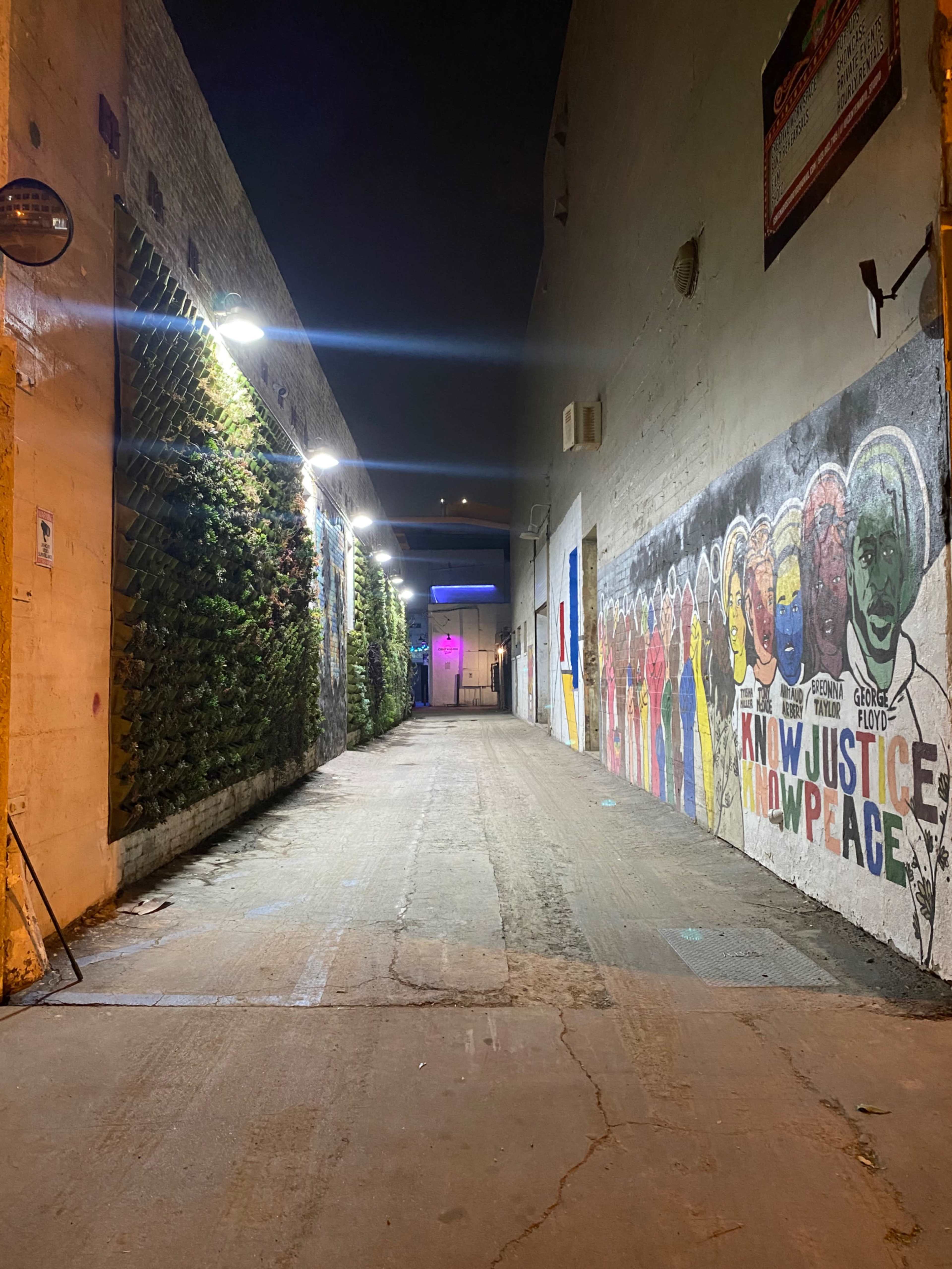 A dimly lit alleyway featuring a mural of colorful figures on one wall and a vertical garden on the opposite side.