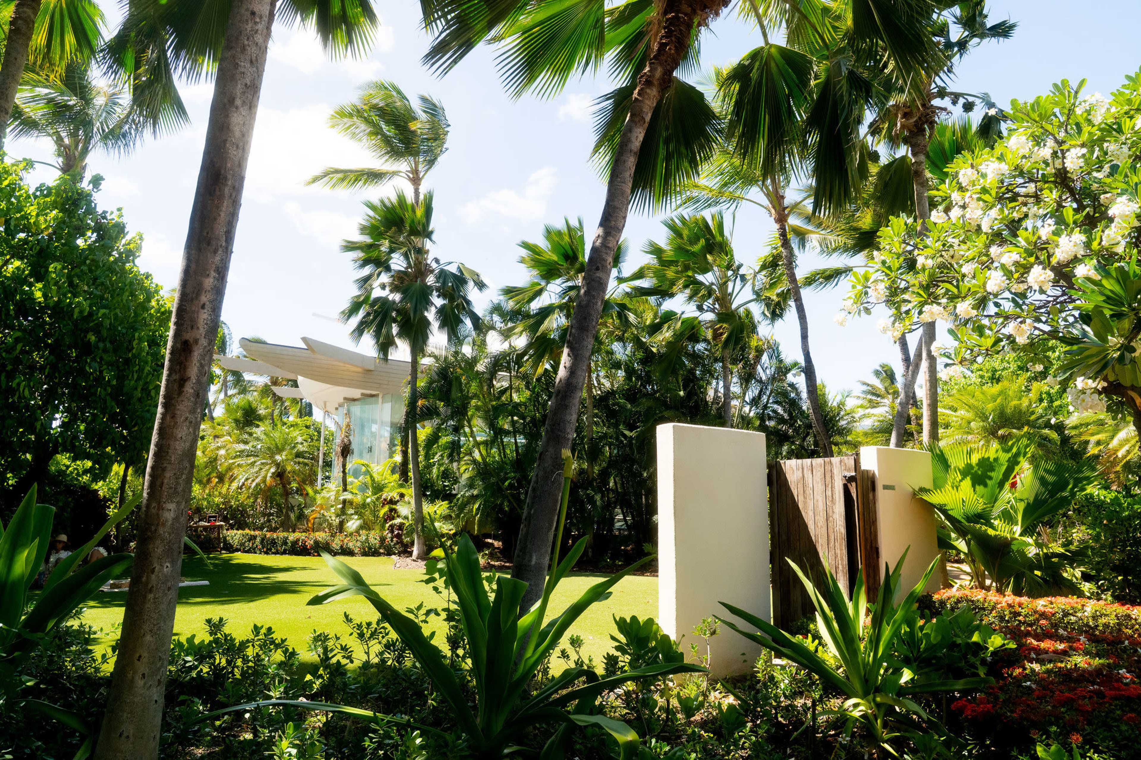 The image shows a landscaped tropical garden with palm trees and various plants surrounding a modern structure in the background.