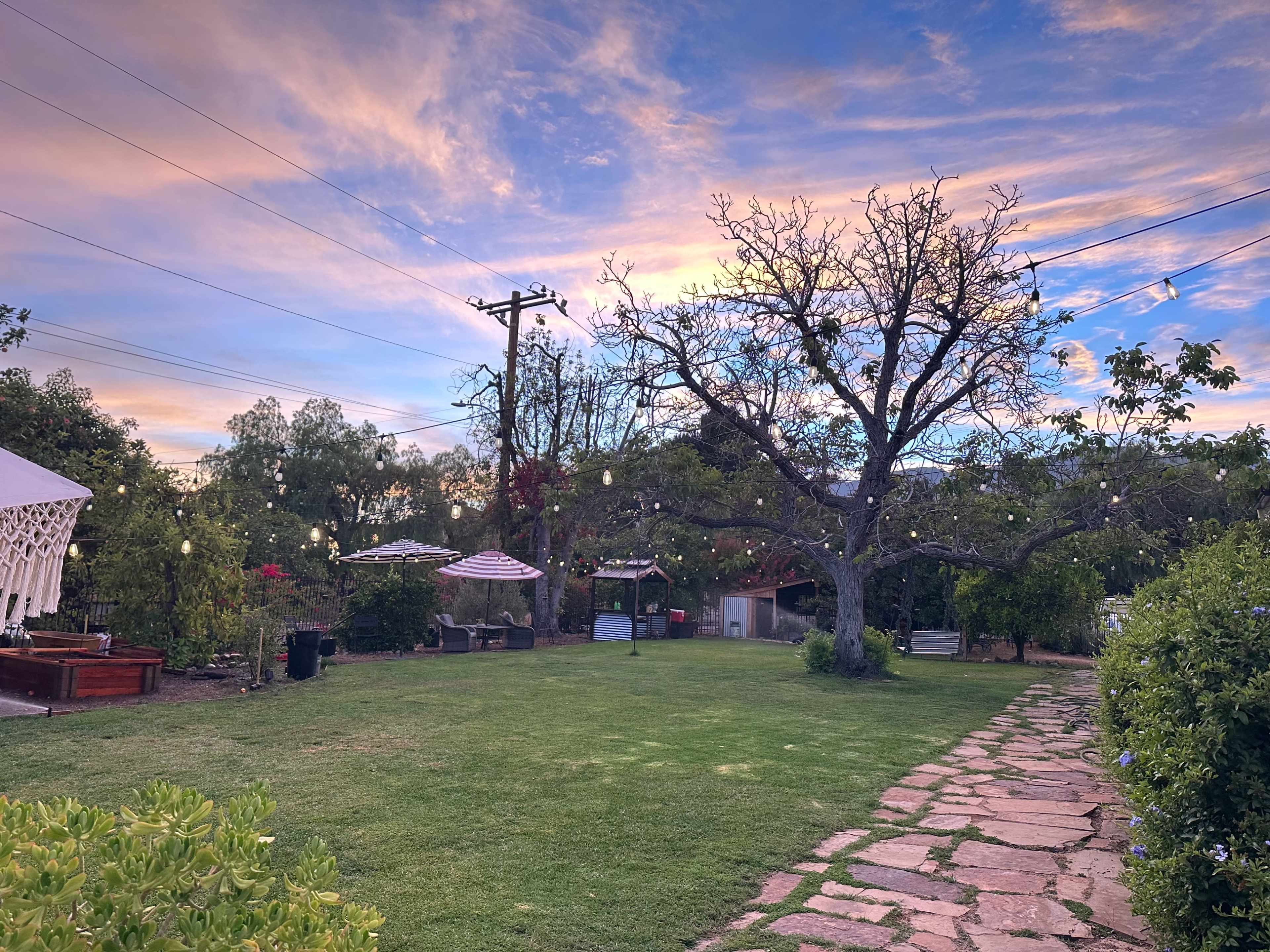 A grassy garden features a large tree, pathways made of stone, and decorative lighting against a colorful sunset sky.