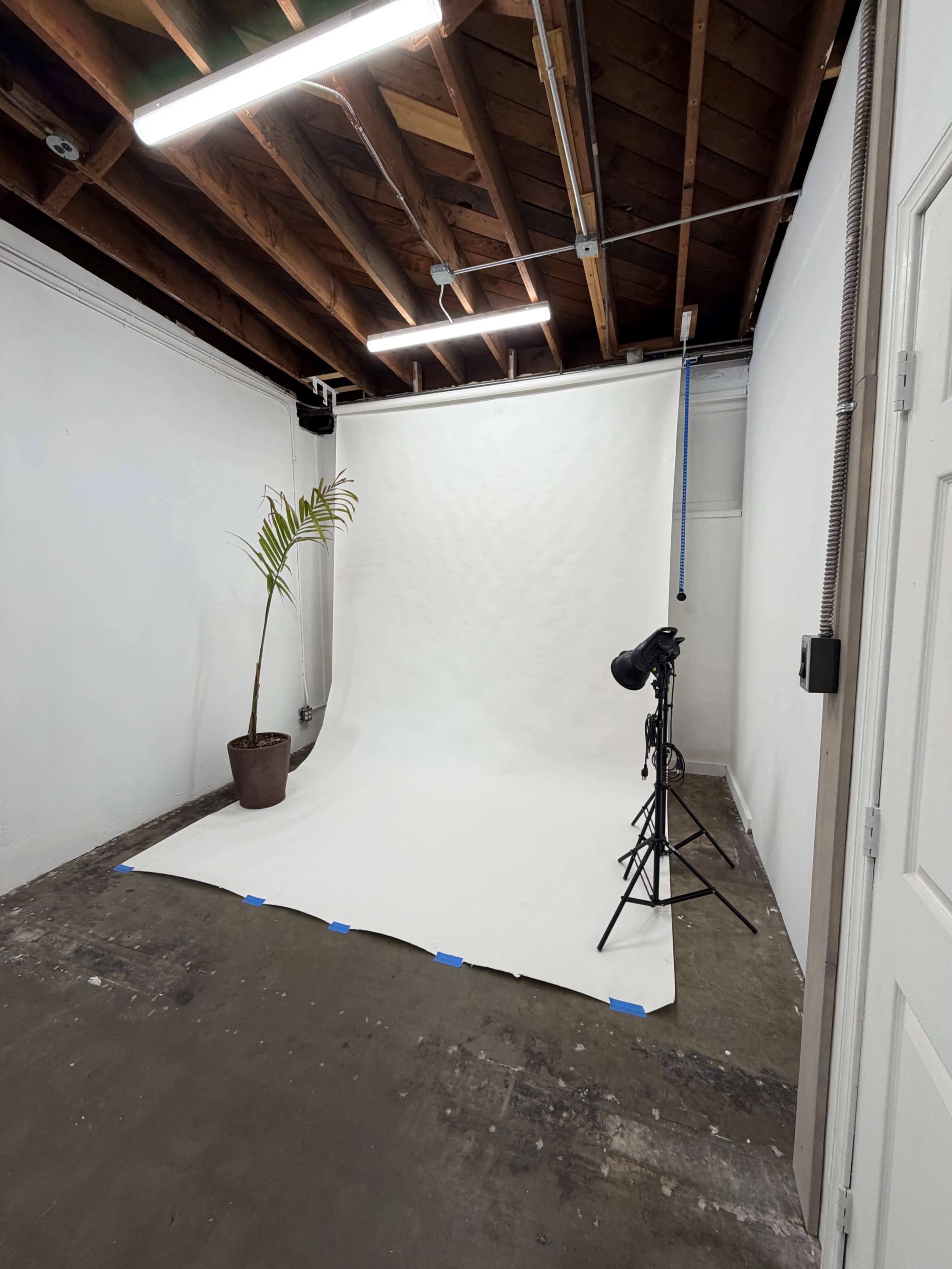 The image shows a photography studio with a white backdrop, a potted plant, and a light stand set up in a room with wooden beams overhead.