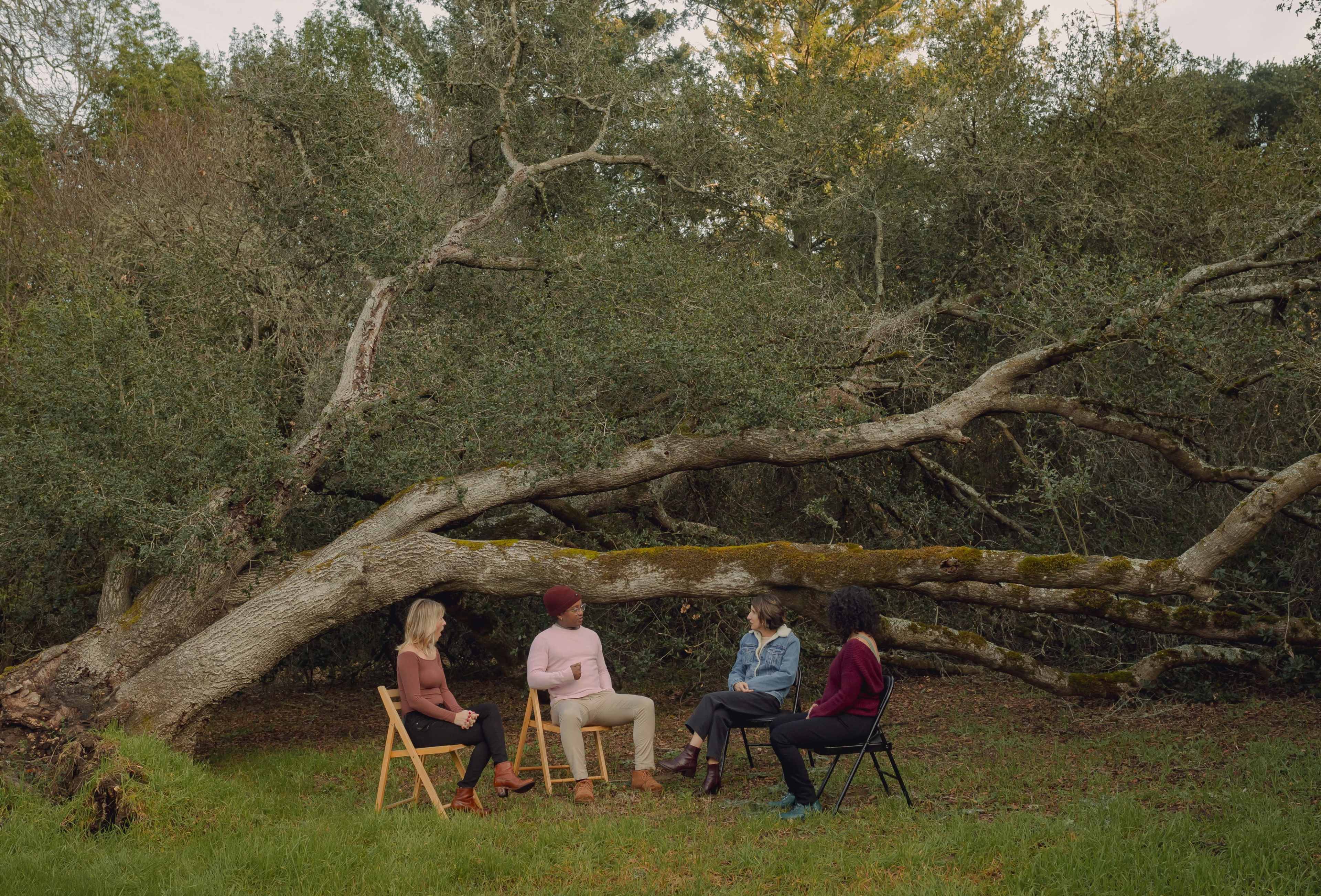 Four people sit on chairs in a clearing, surrounded by trees, with a large fallen tree lying in the background.