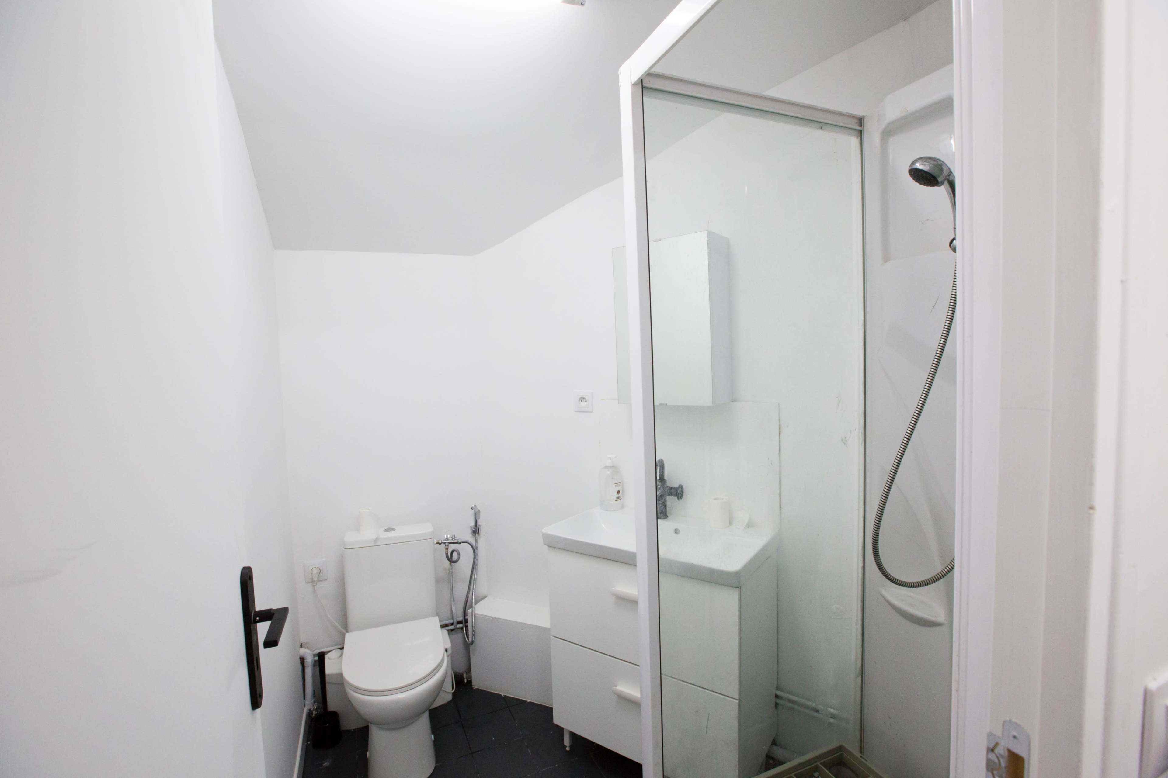The image shows a small bathroom equipped with a toilet, a shower, and a sink with a mirrored cabinet.