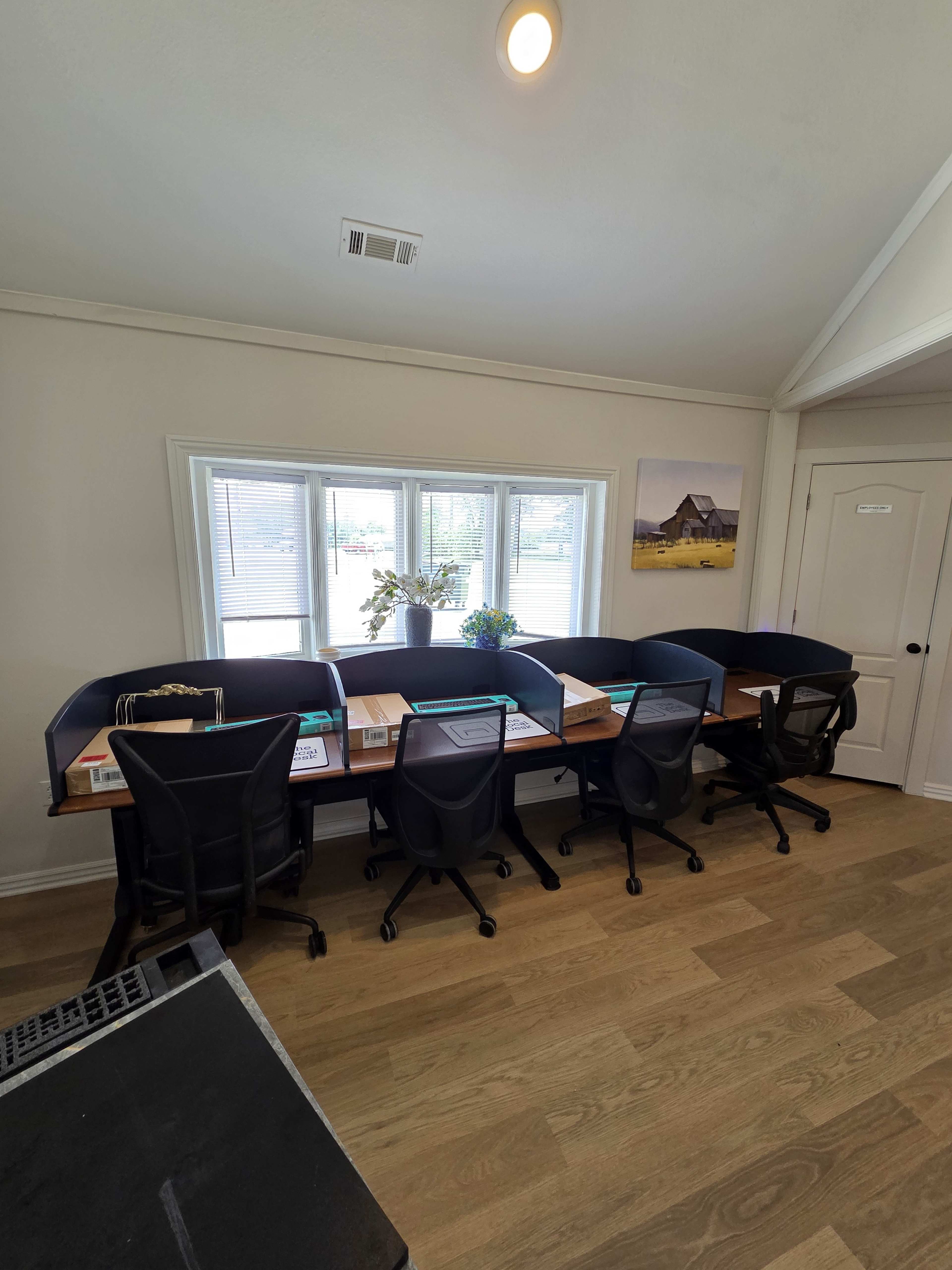 The image shows a workspace featuring five desks with black office chairs arranged in a row near a large window, with a flower arrangement and a framed picture on the wall.