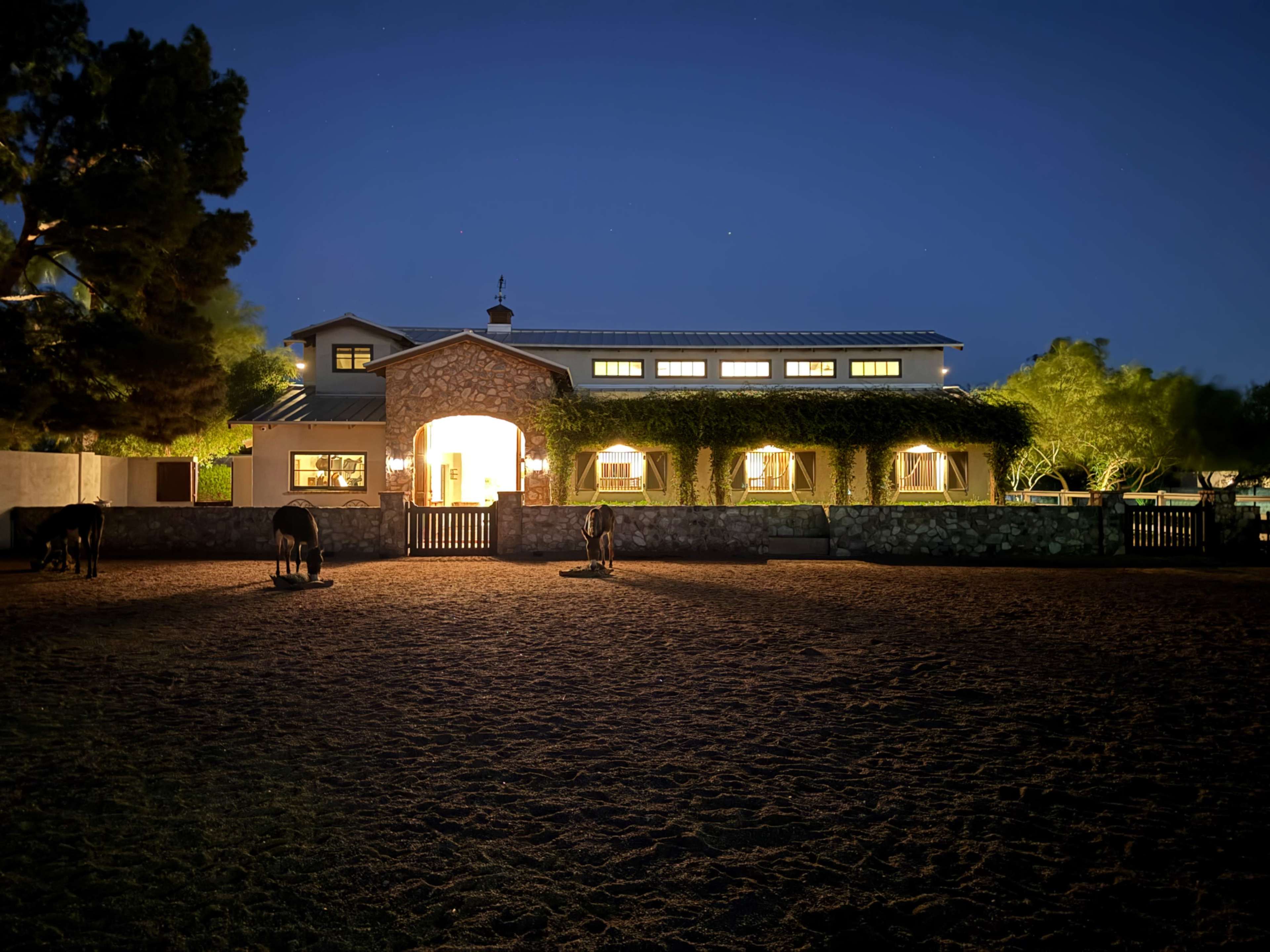 Golden Hour with the Burros | A Private Barn Experience Image in Patterson Ranch, Scottsdale, AZ