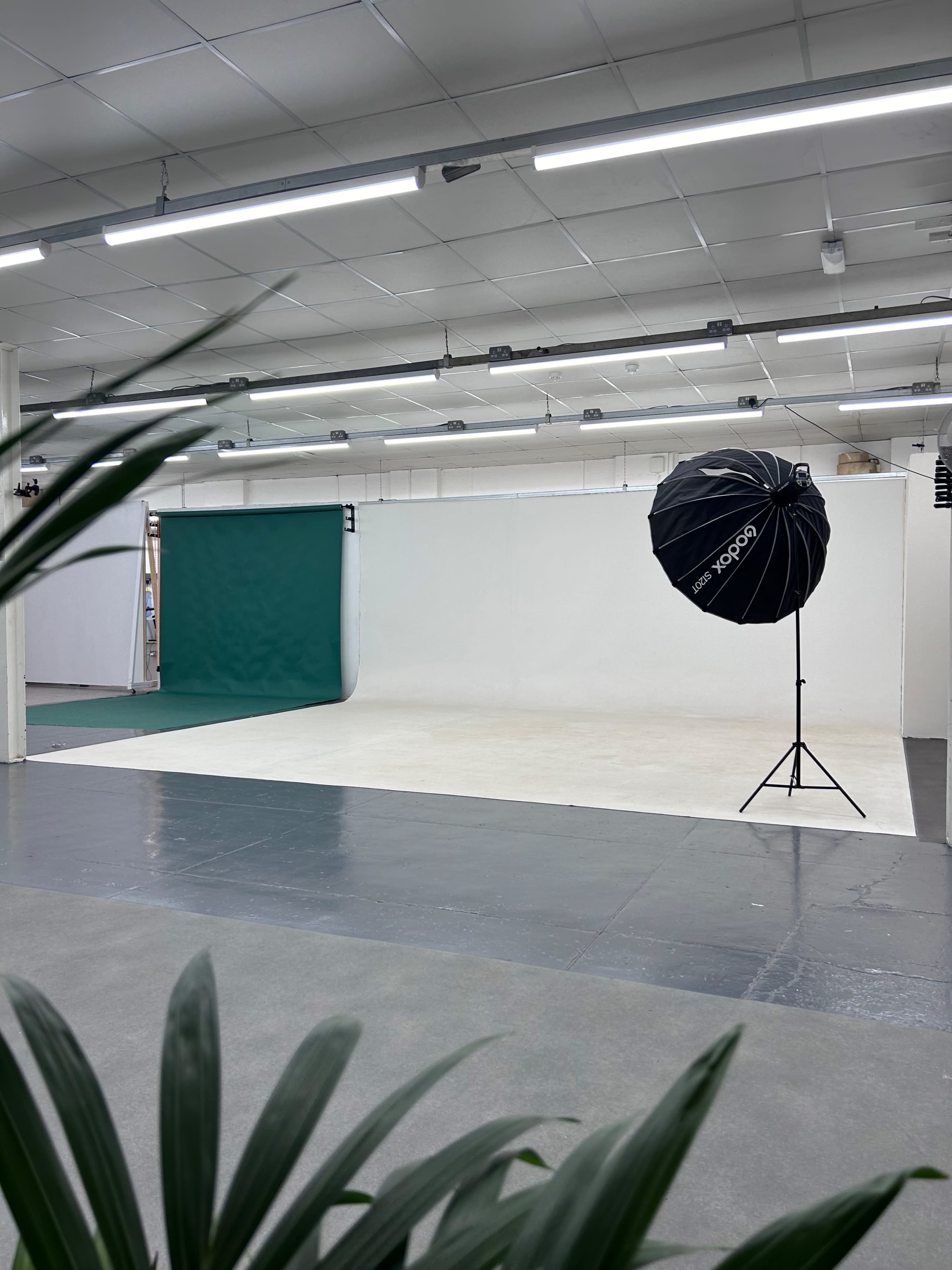 A photography studio featuring a green backdrop, white walls, and a large softbox on a stand.