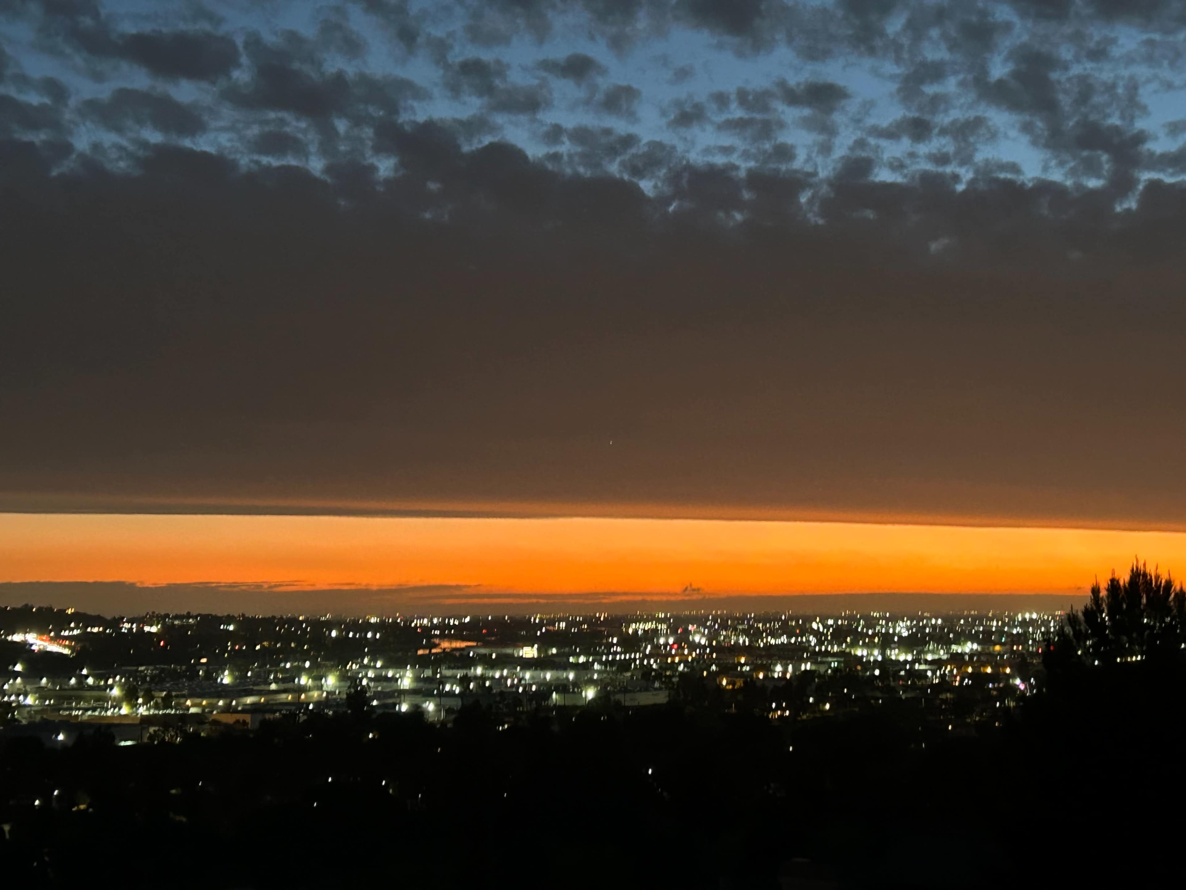 Hilltop Tropical Oasis Image in , Yorba Linda, CA