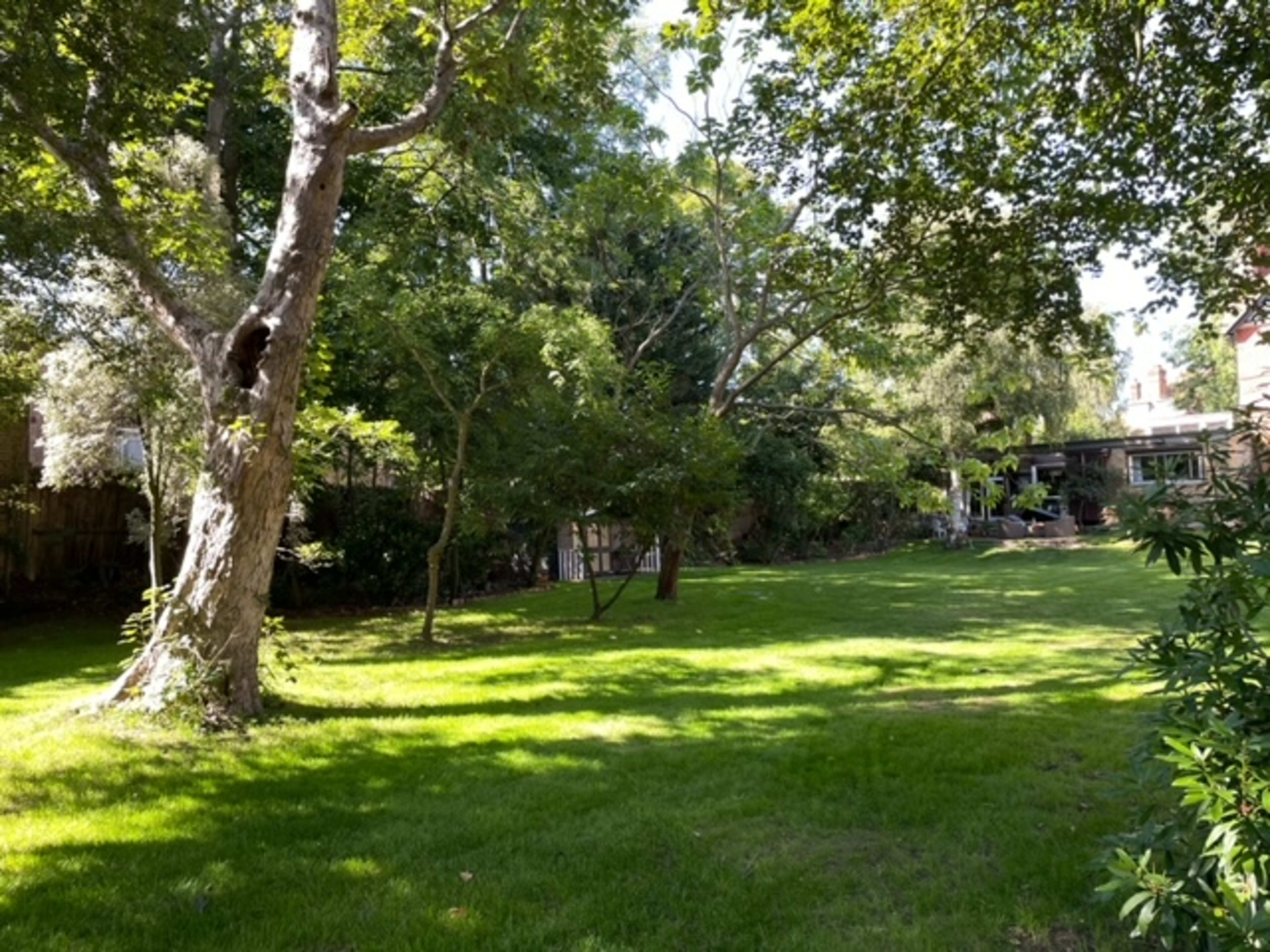 A large grassy backyard is surrounded by trees, with a glimpse of a house in the background.