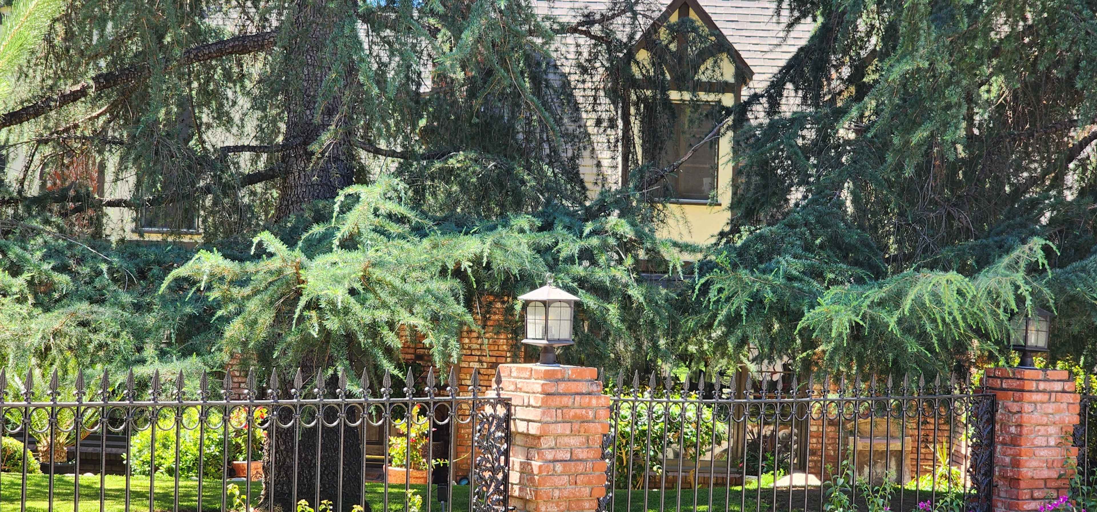 A large house is partially obscured by overhanging tree branches, with a decorative wrought iron fence in front.