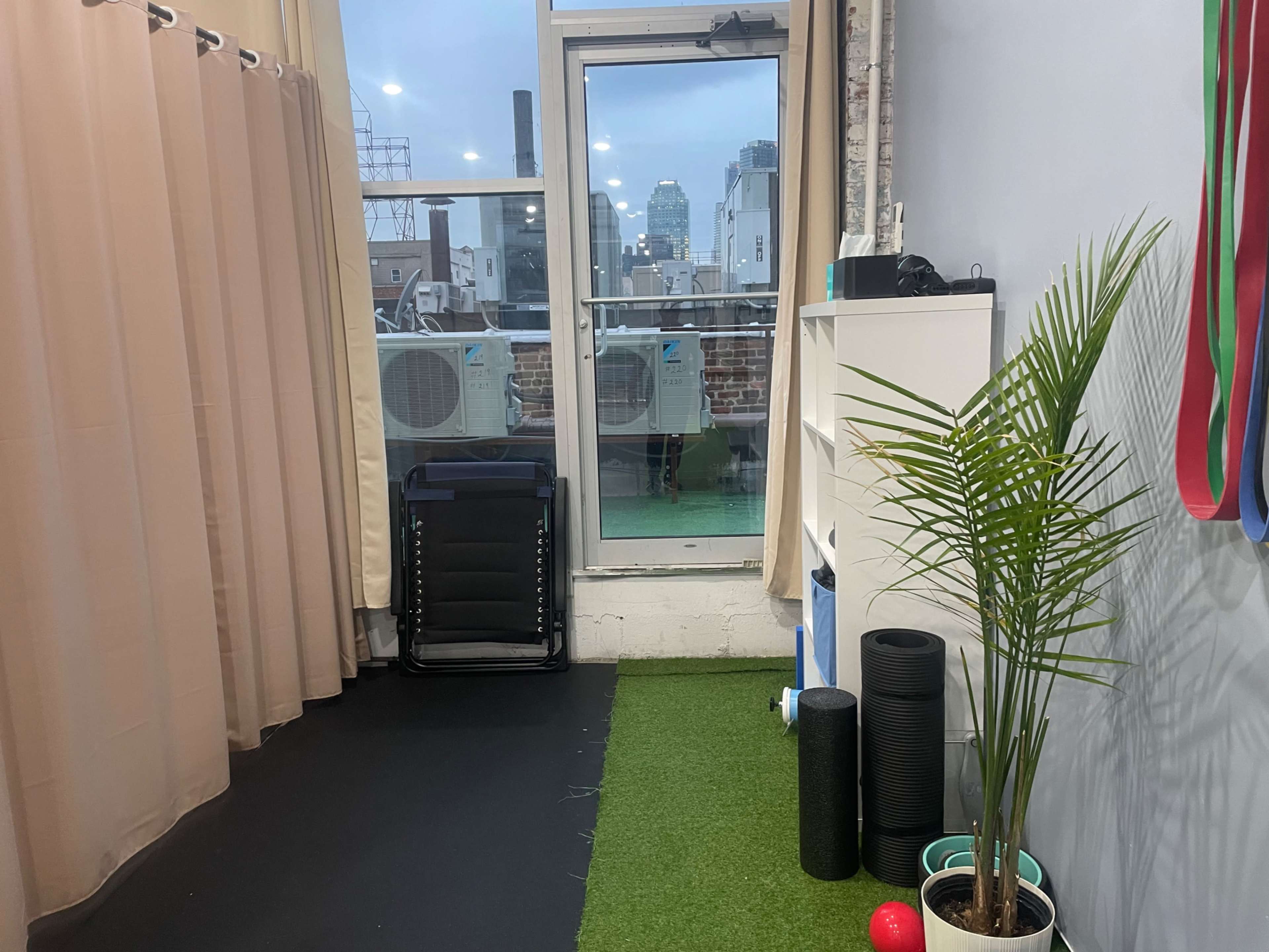 The image shows a corner of a room with a potted plant, exercise equipment, and a window overlooking a cityscape.