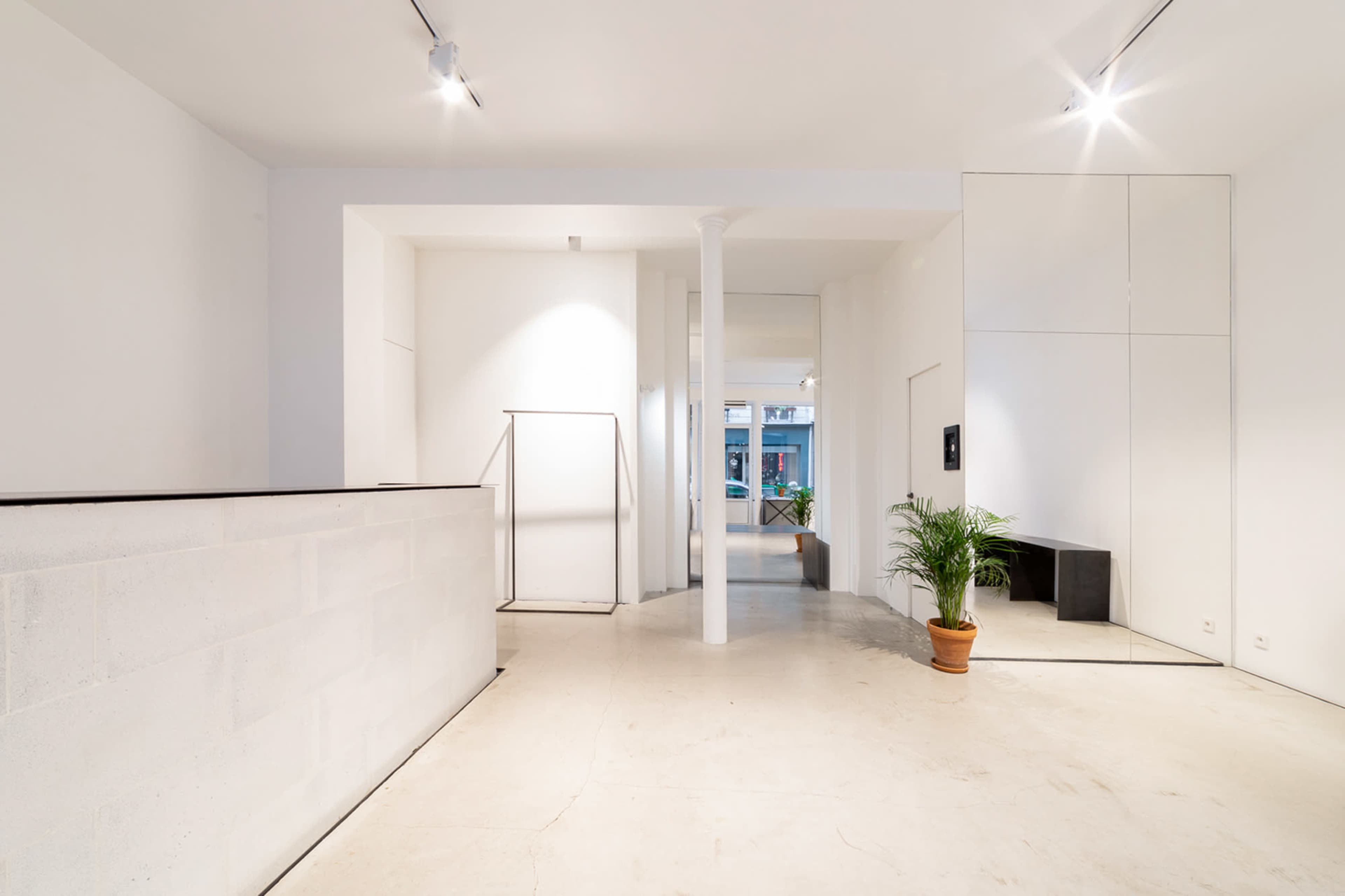 A minimalist interior of a modern space with a reception area, a potted plant, and multiple doorways leading to other rooms.