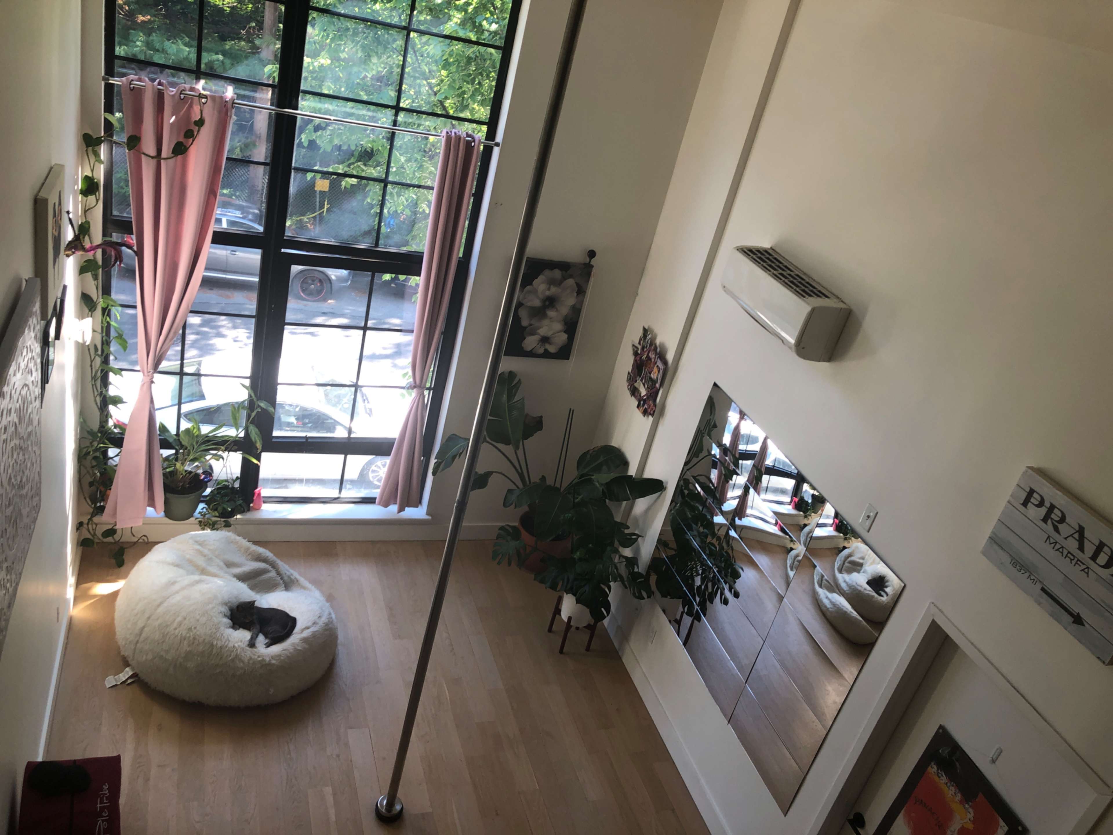 A bright, airy room features large windows with pink curtains, a white pet bed on the floor, plants along the walls, and a mirror reflecting the space.