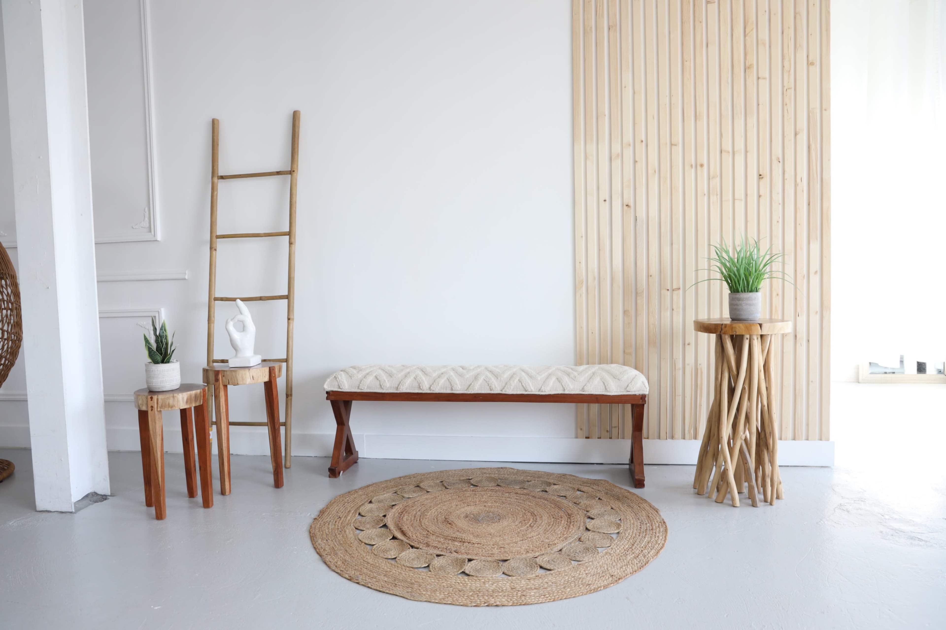 Shvrk Studio Image in Etobicoke, Toronto, ON