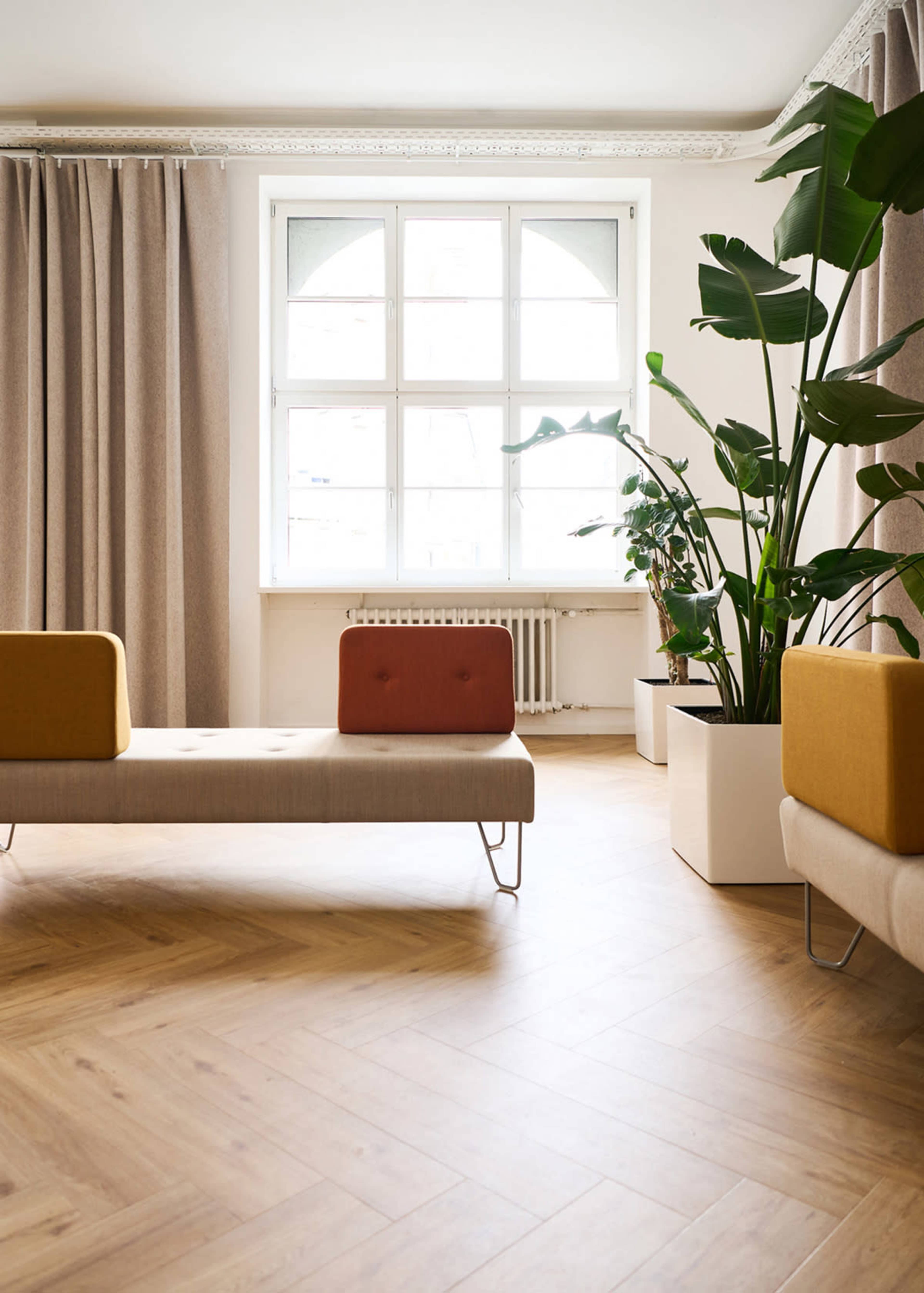 The image depicts a spacious, bright room with a light wooden floor, two modern benches in neutral colors, and a large window framed by beige curtains, featuring a potted plant nearby.