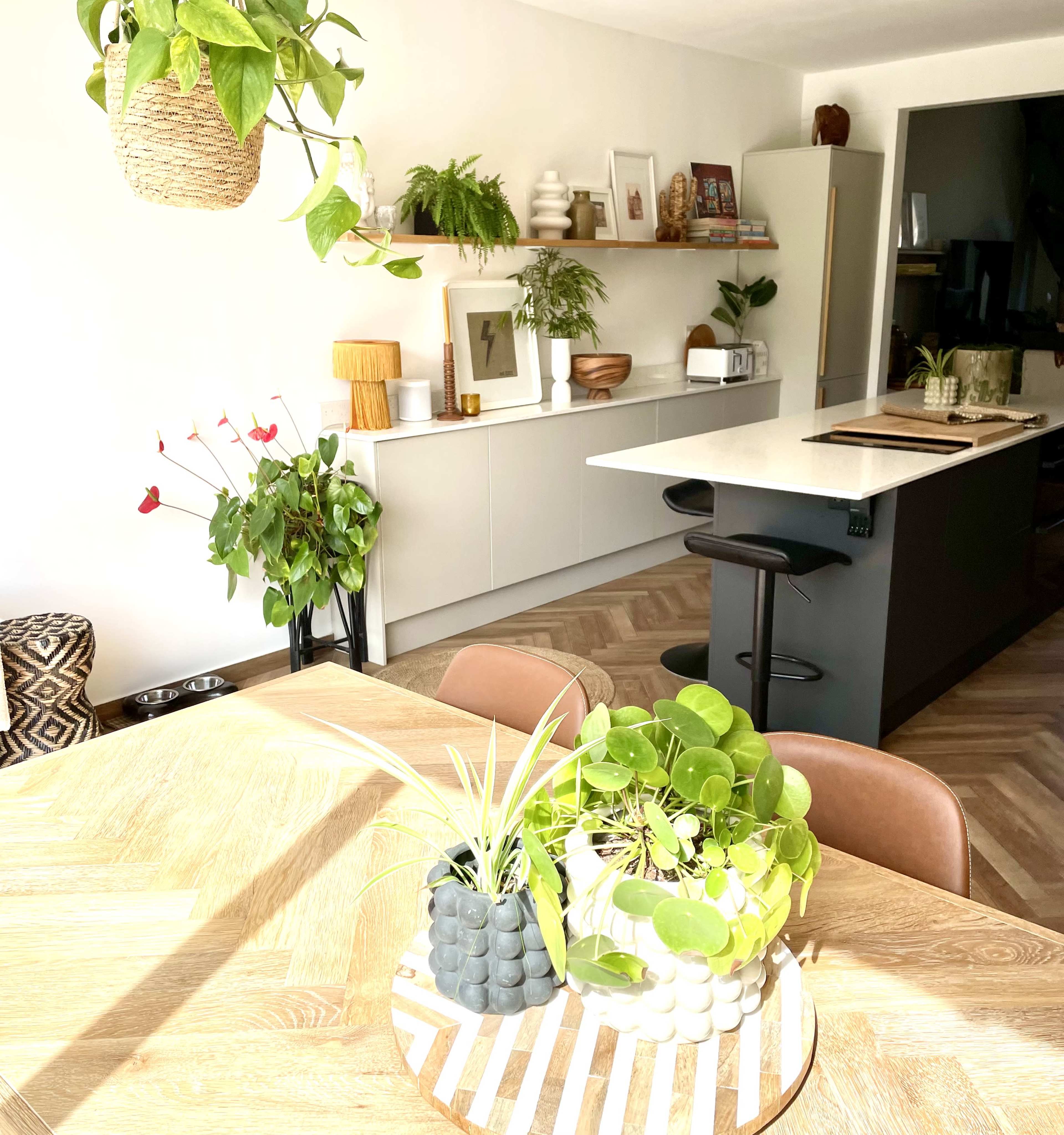 A modern kitchen and dining area with a wooden table, potted plants, and a sleek island with bar stools.