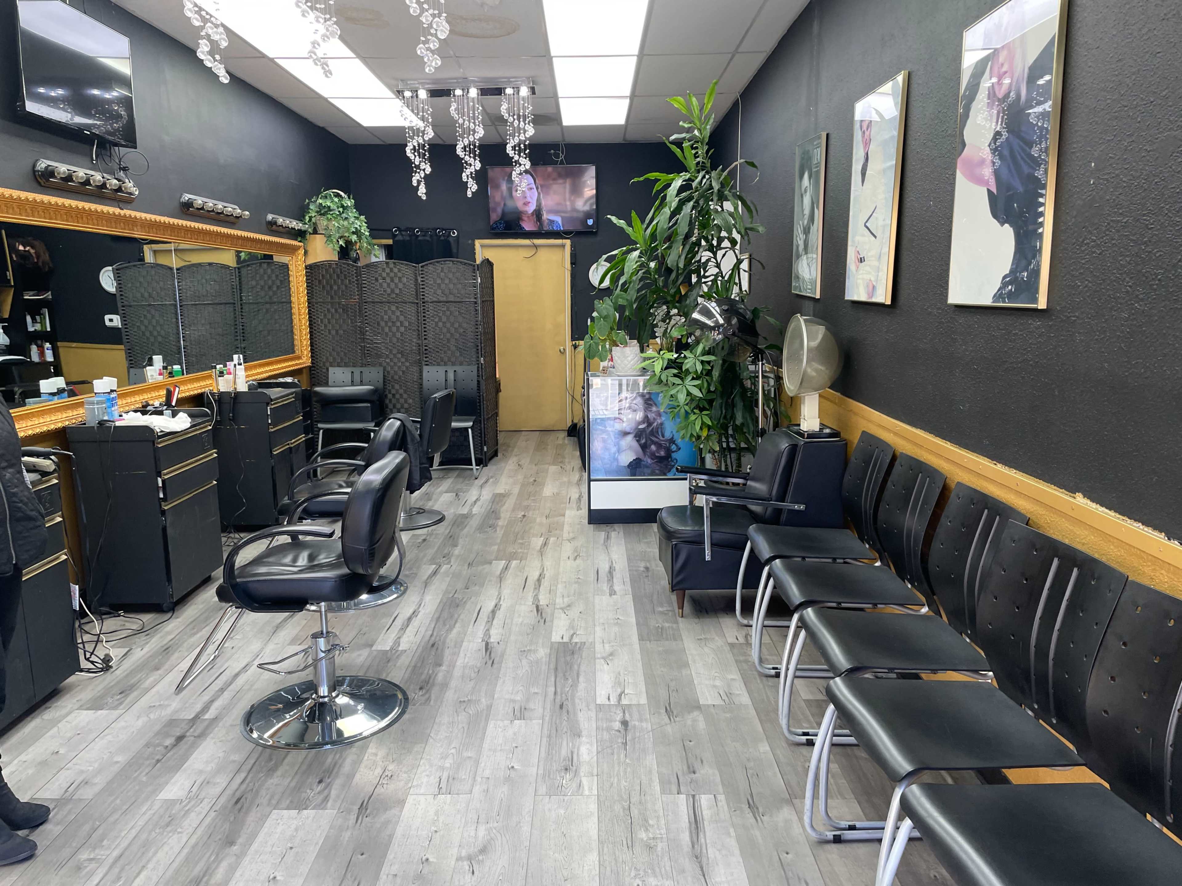 A hair salon interior with black chairs, mirrors, a television, and plants along the walls.