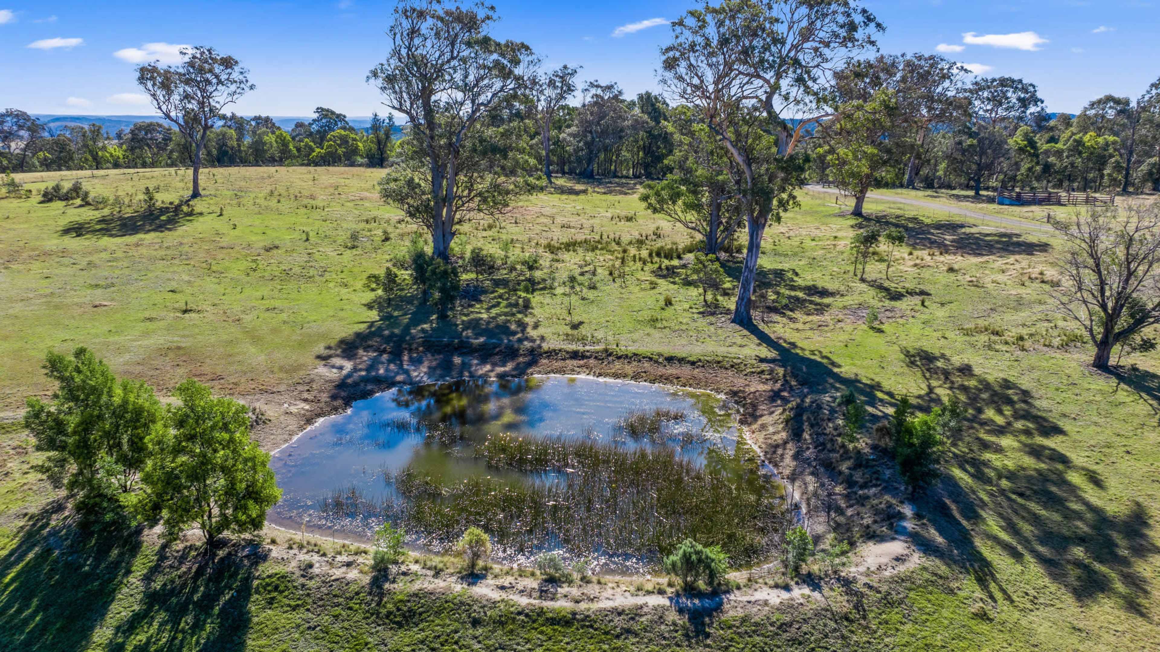 A small pond surrounded by trees and grassy land in a rural setting.