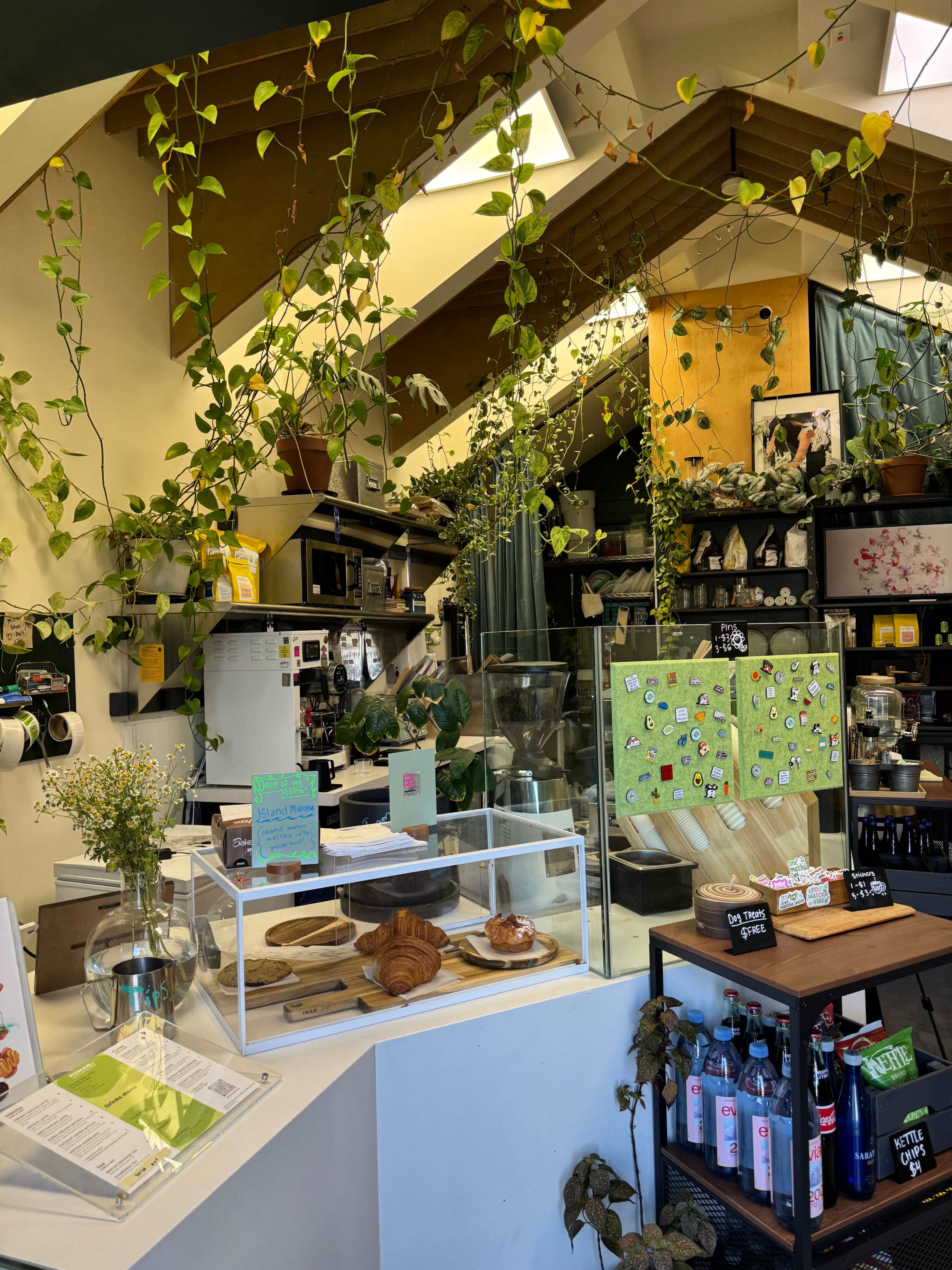 The image shows a charming café interior with various plants hanging from the ceiling, display cases with pastries, and a coffee station.