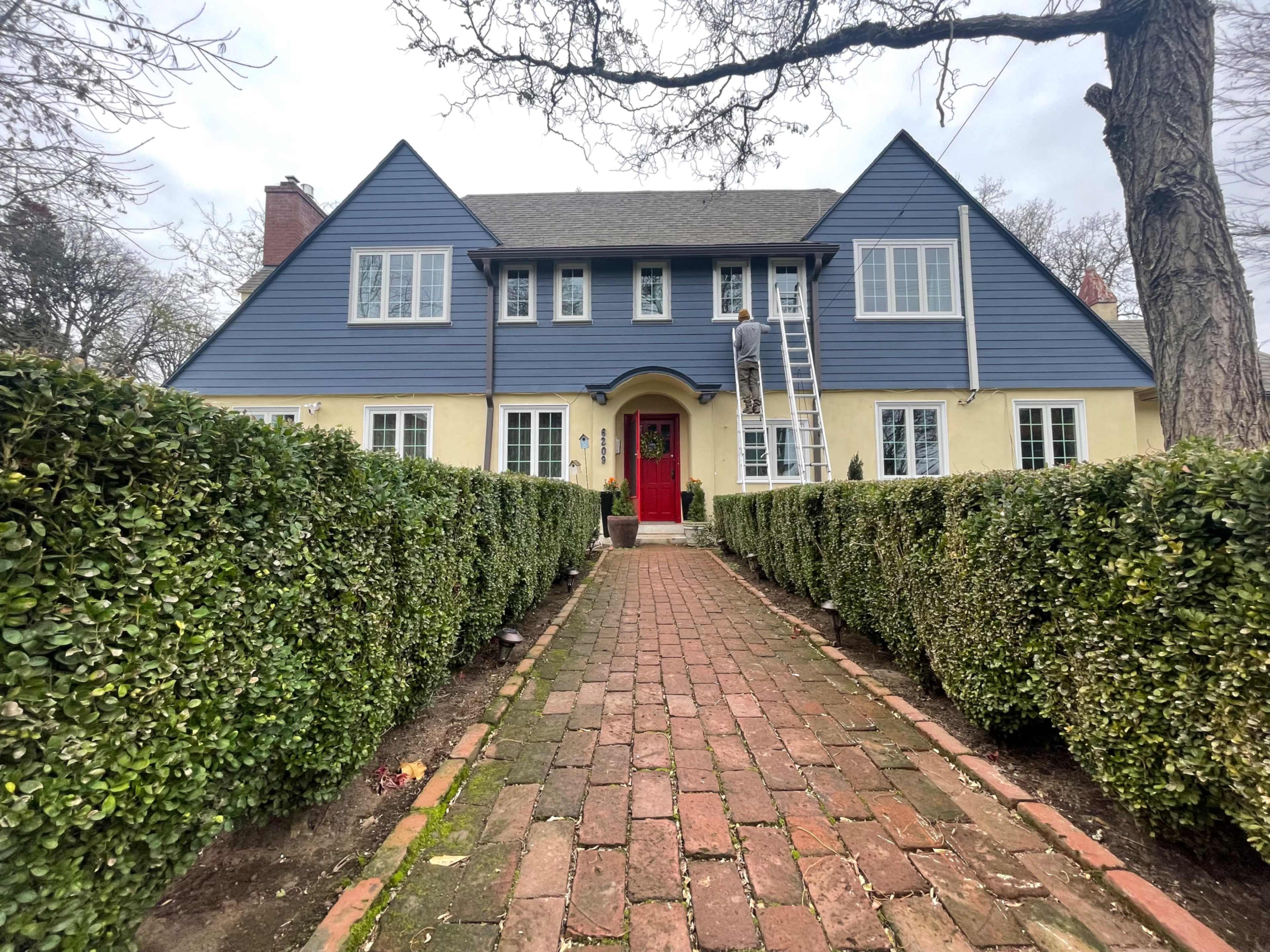 A blue and yellow house with a red door is framed by neatly trimmed hedges and a brick pathway leading to the entrance, where a person is using a ladder.