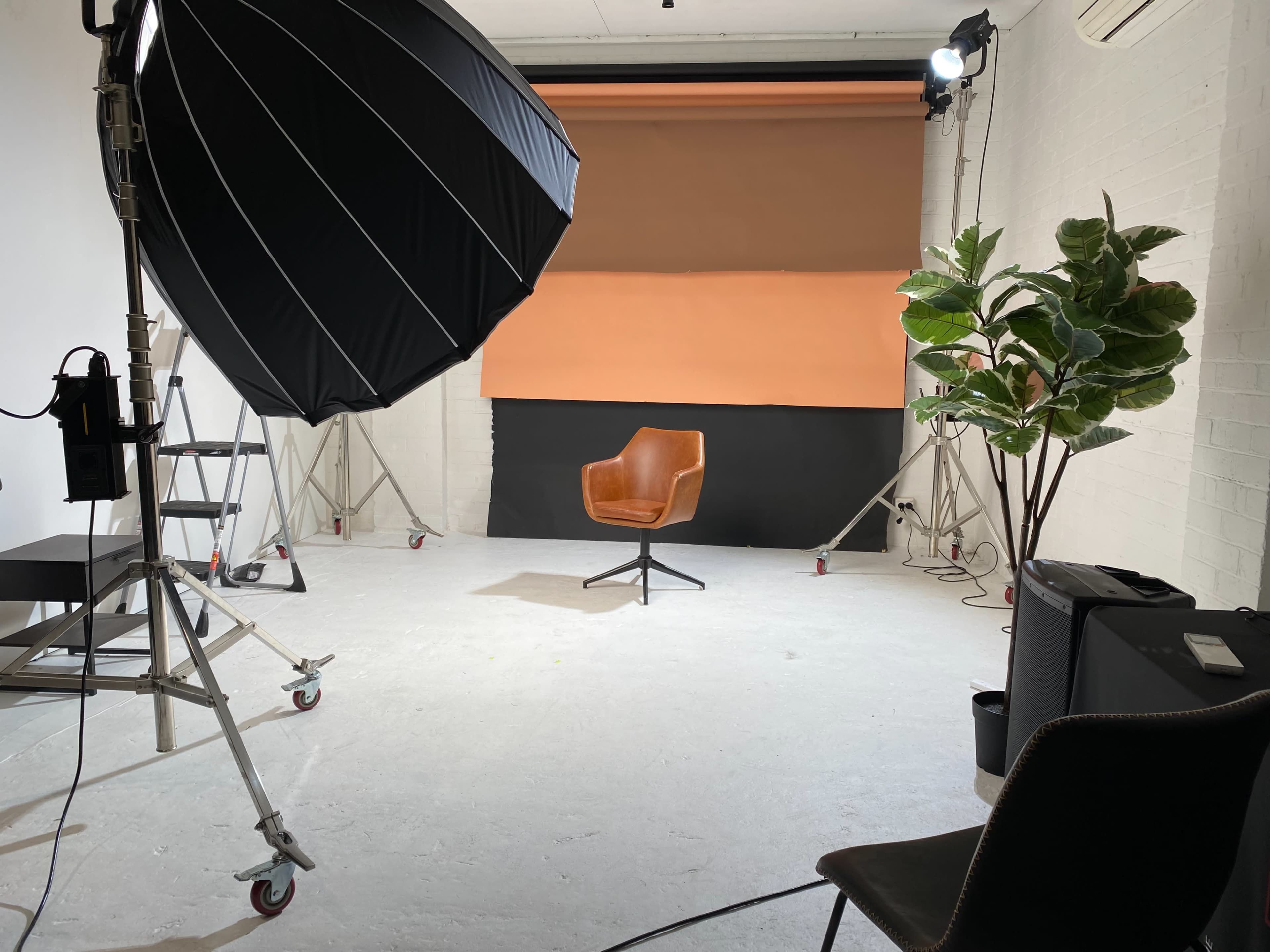 A photography studio features a single brown chair on a white floor, surrounded by lighting equipment, a potted plant, and backdrops in muted colors.