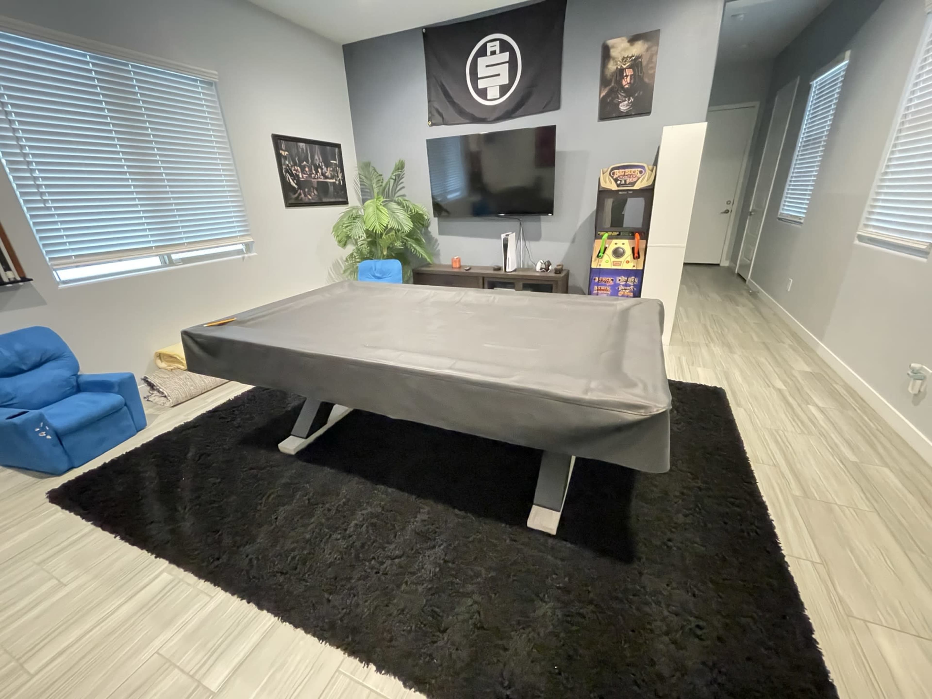 The room features a large pool table covered with a gray felt, surrounded by a black rug, with a television and shelves against the wall.
