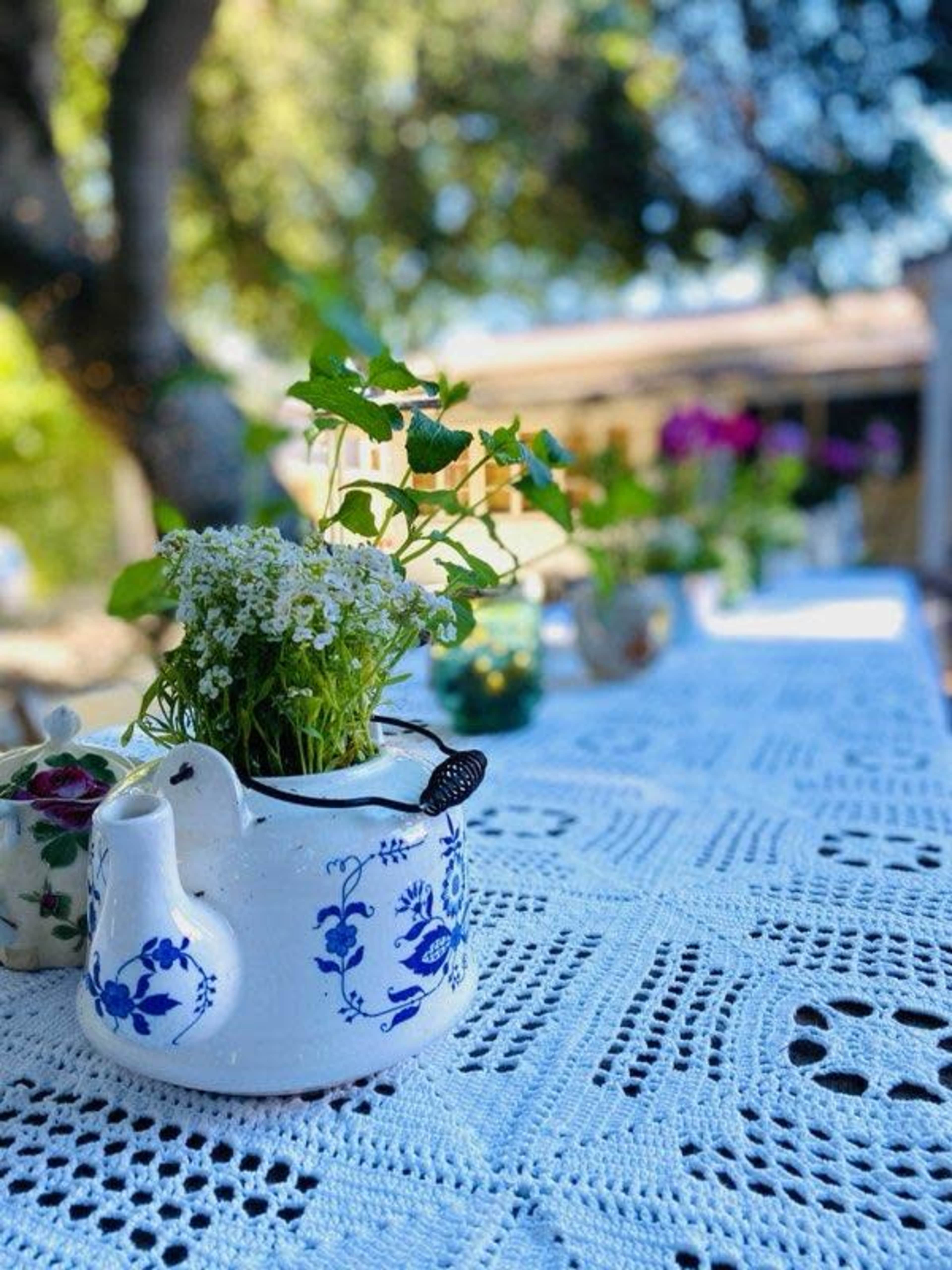 A teapot filled with flowers sits on a white lace tablecloth under trees in a garden setting.