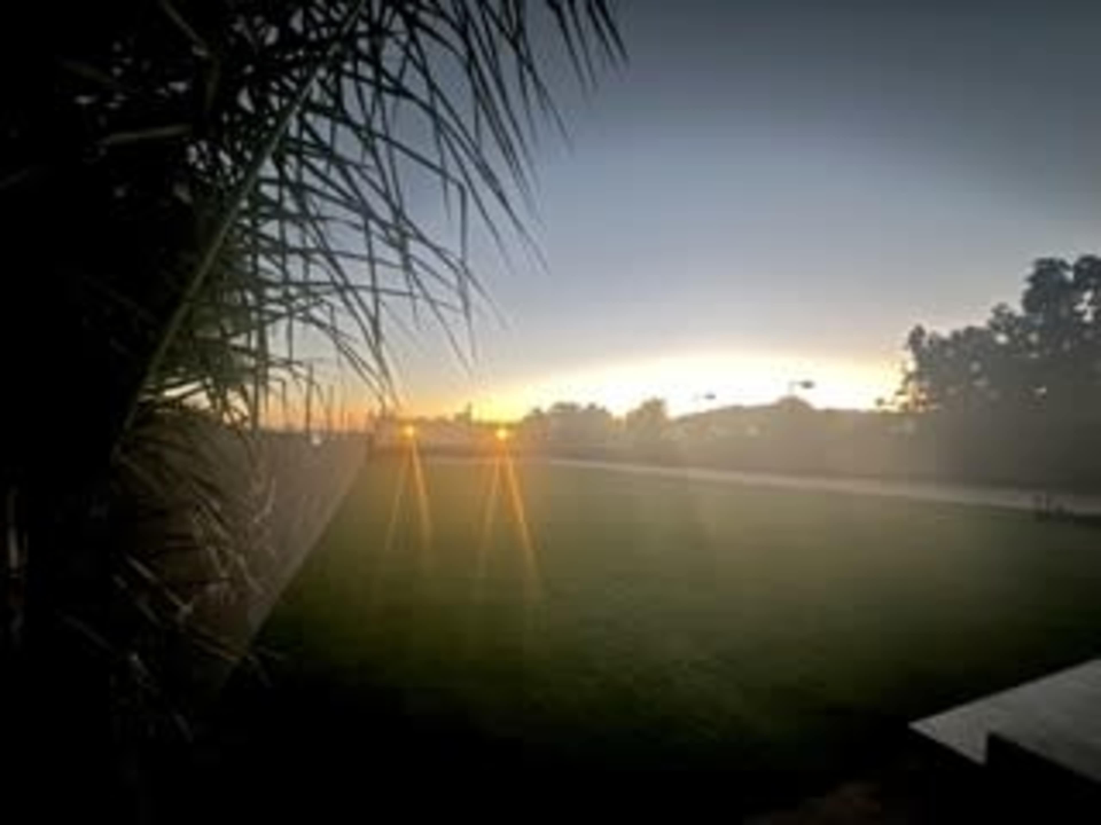 The image shows a misty landscape at dawn with a grassy area and lights in the distance.
