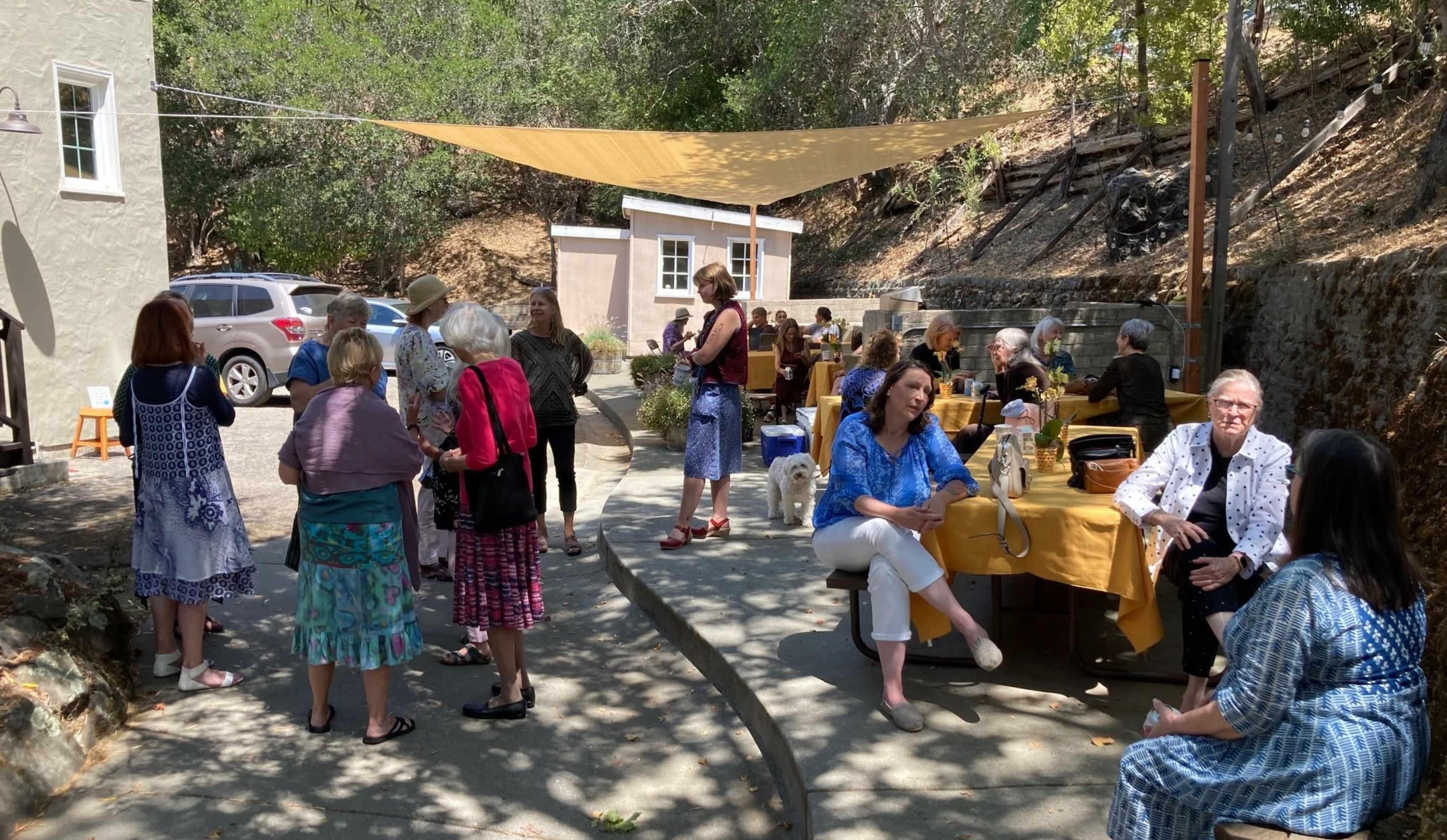 A group of people socializes outdoors at a gathering, surrounded by trees and seated at tables under a shade structure.