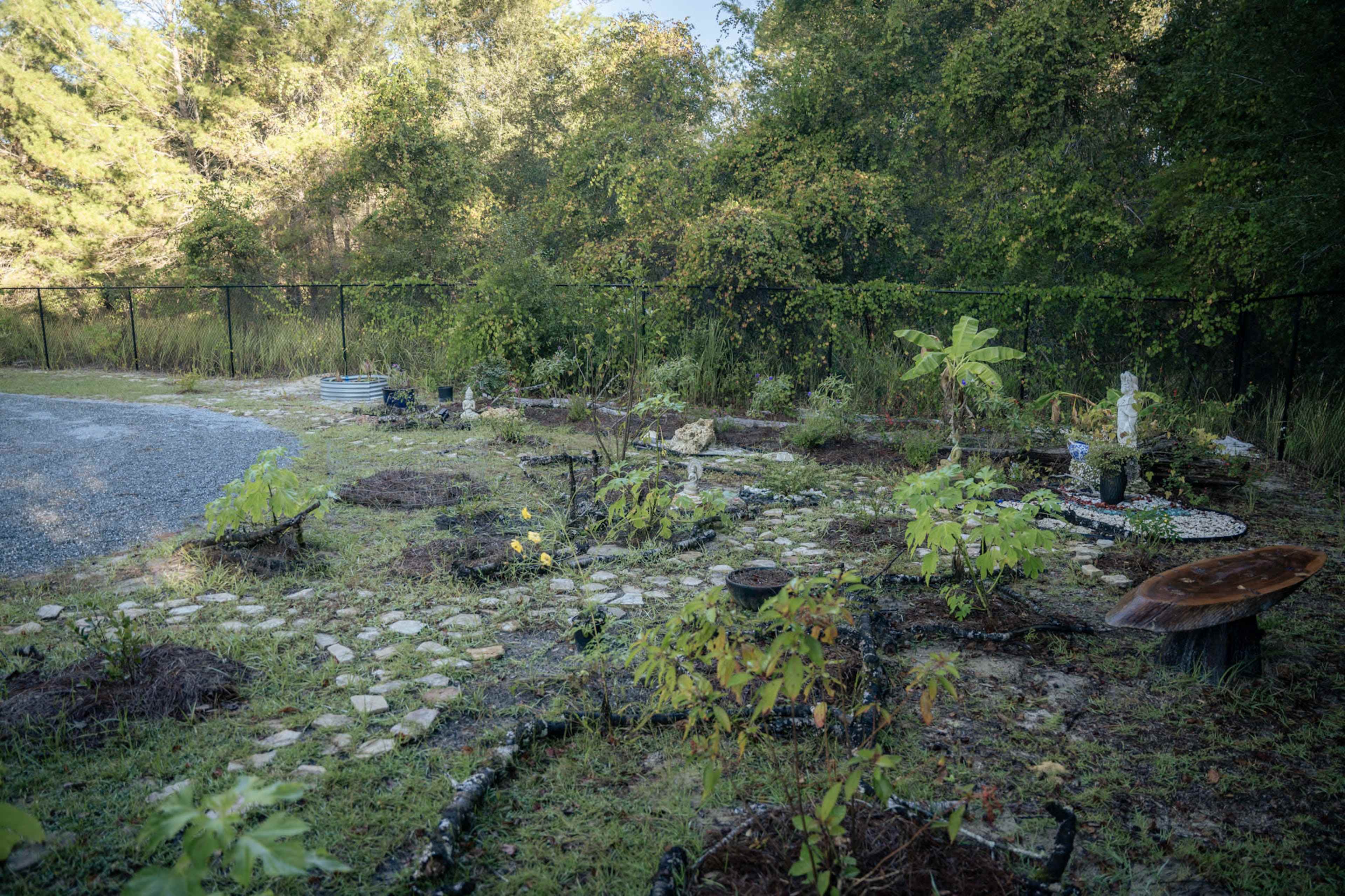 The image shows a garden area with various plants arranged around stone pathways and a backdrop of trees and a fence.
