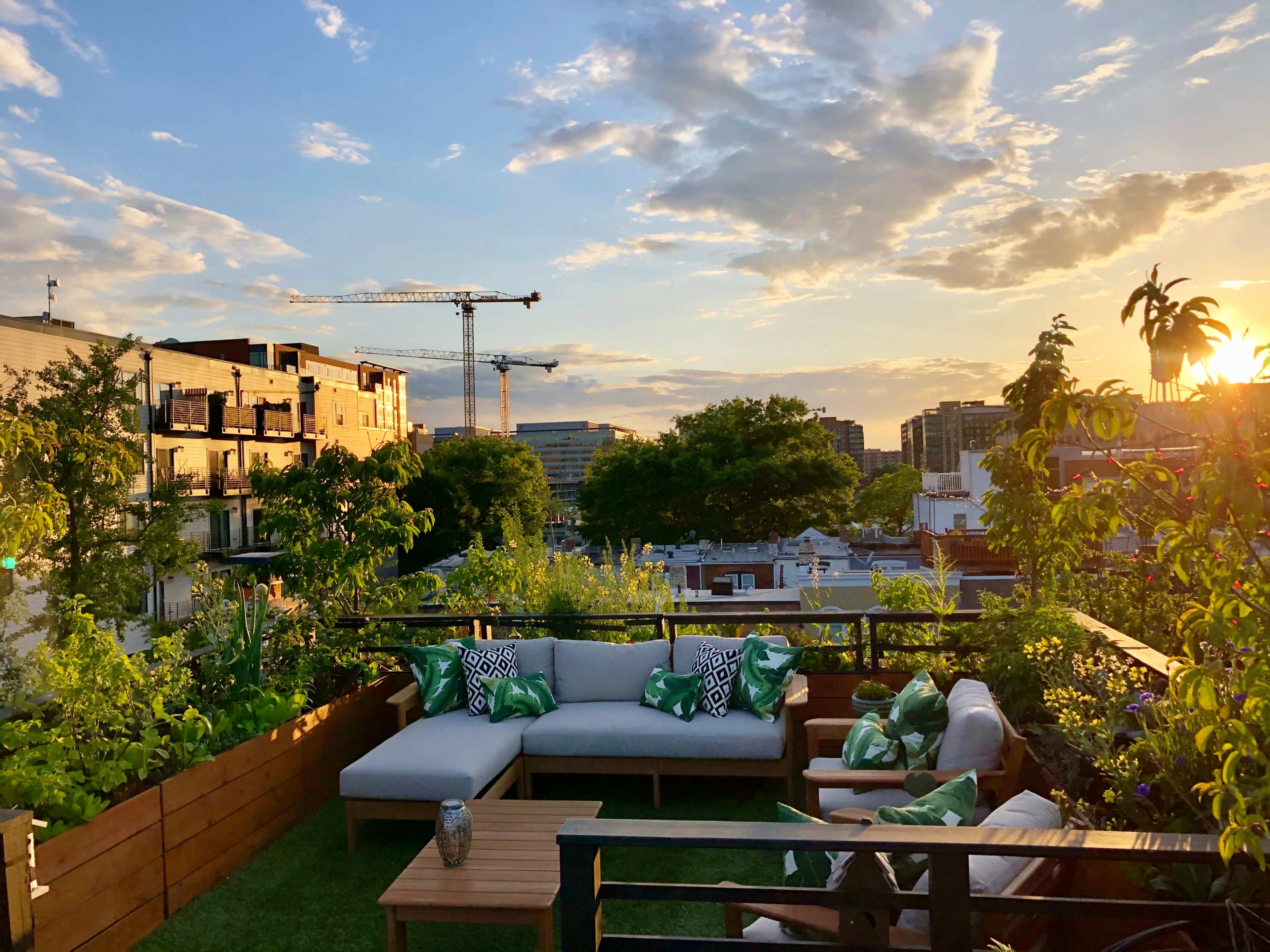 A rooftop terrace features a sectional sofa with green pillows and plants, overlooking a cityscape at sunset.