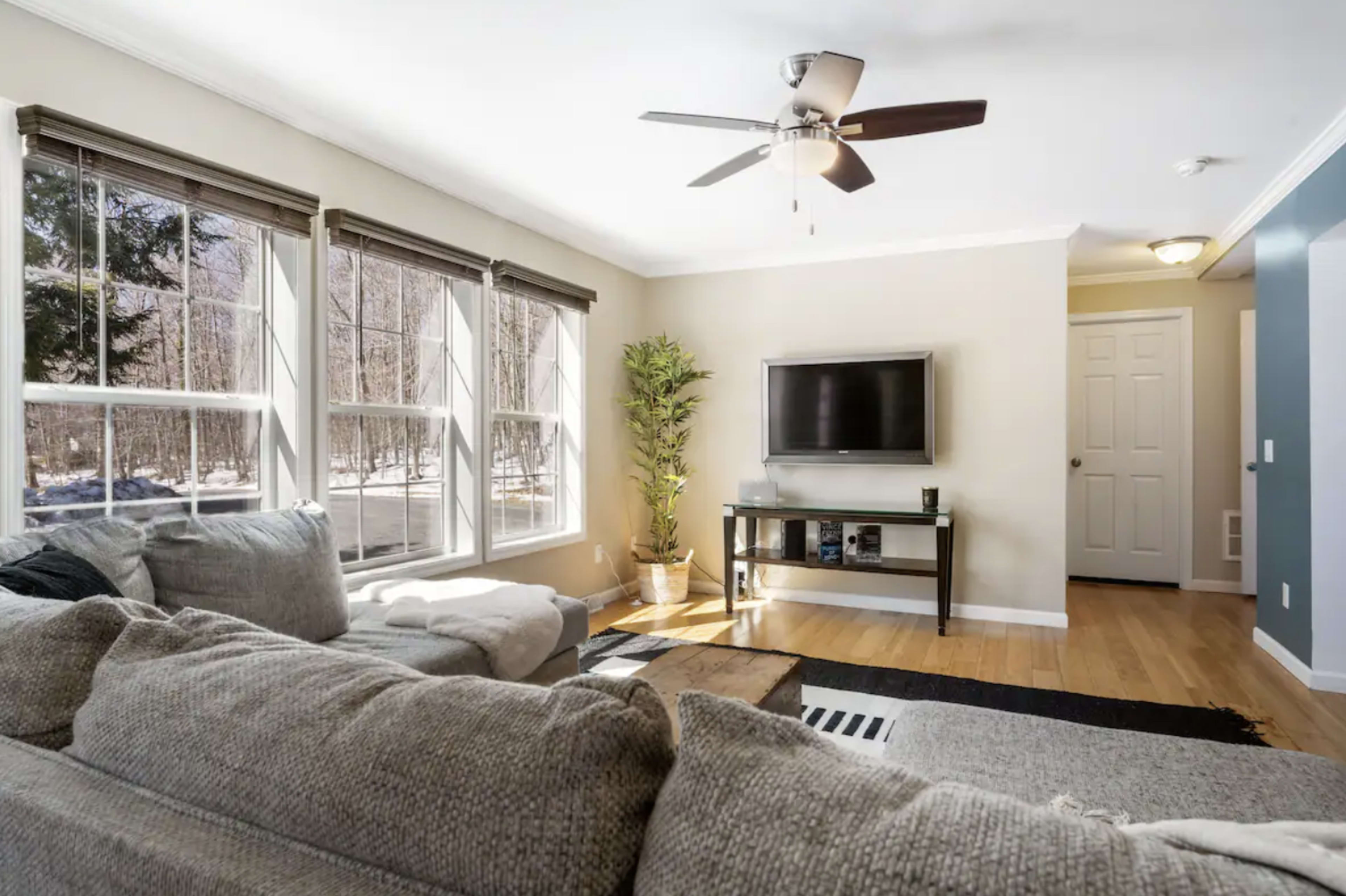 A living room features large windows, a ceiling fan, a television on a stand, and a sectional sofa, with hardwood floors and a decorative plant.