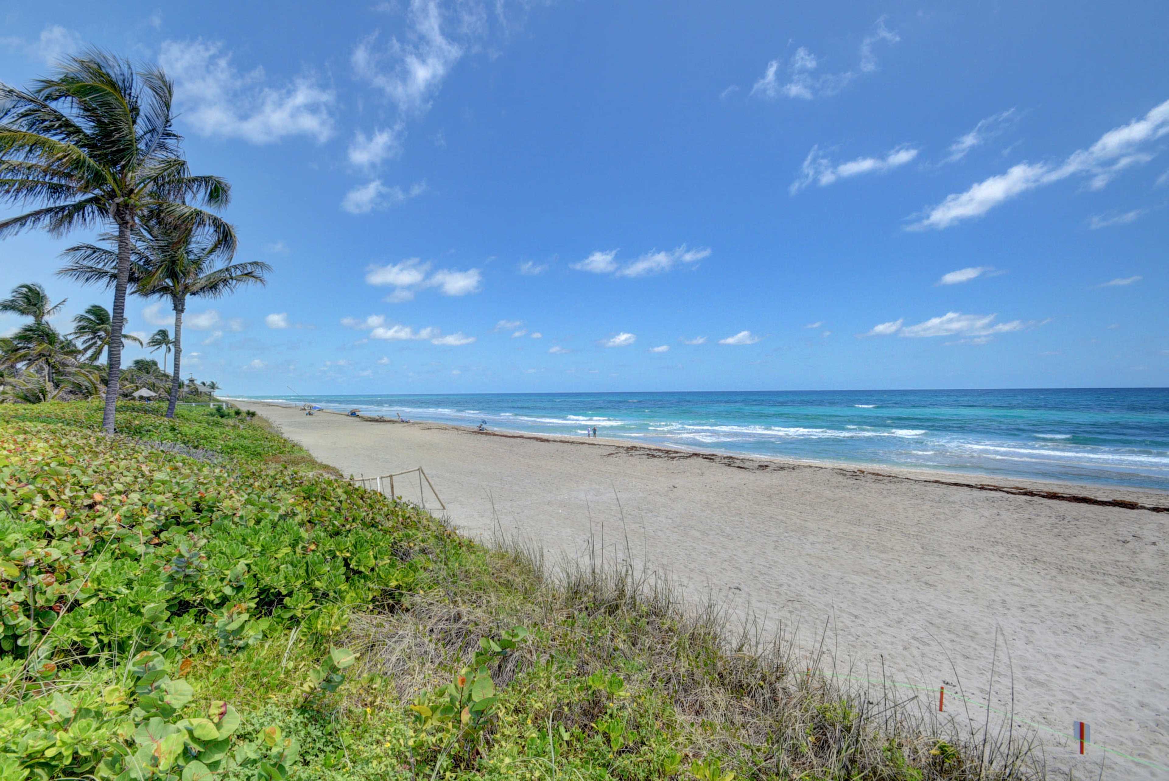 A sandy beach stretches alongside a calm ocean, bordered by palm trees and coastal vegetation under a clear sky.