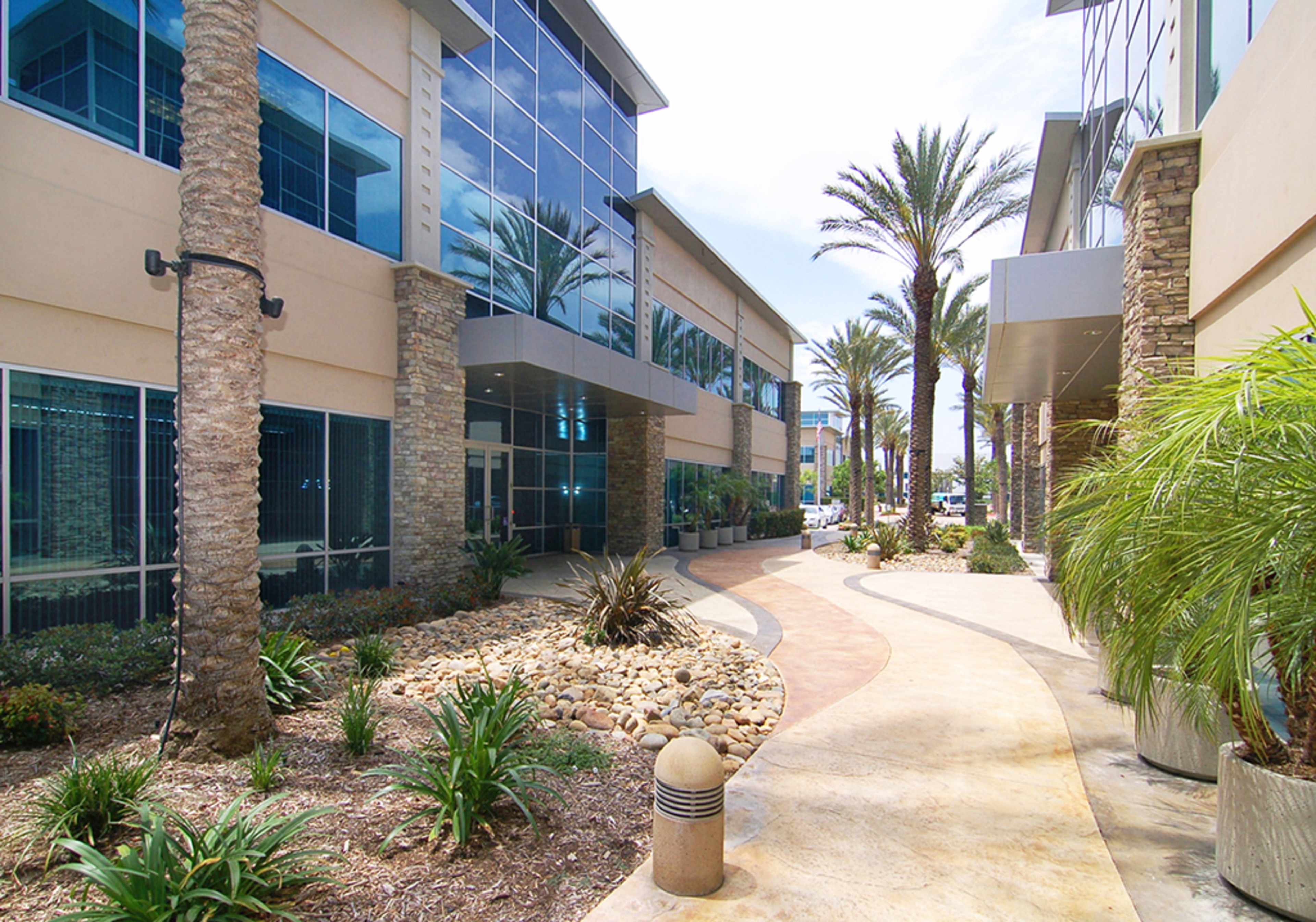 A walkway lined with palm trees and landscaped plants leads to a modern glass-fronted building.