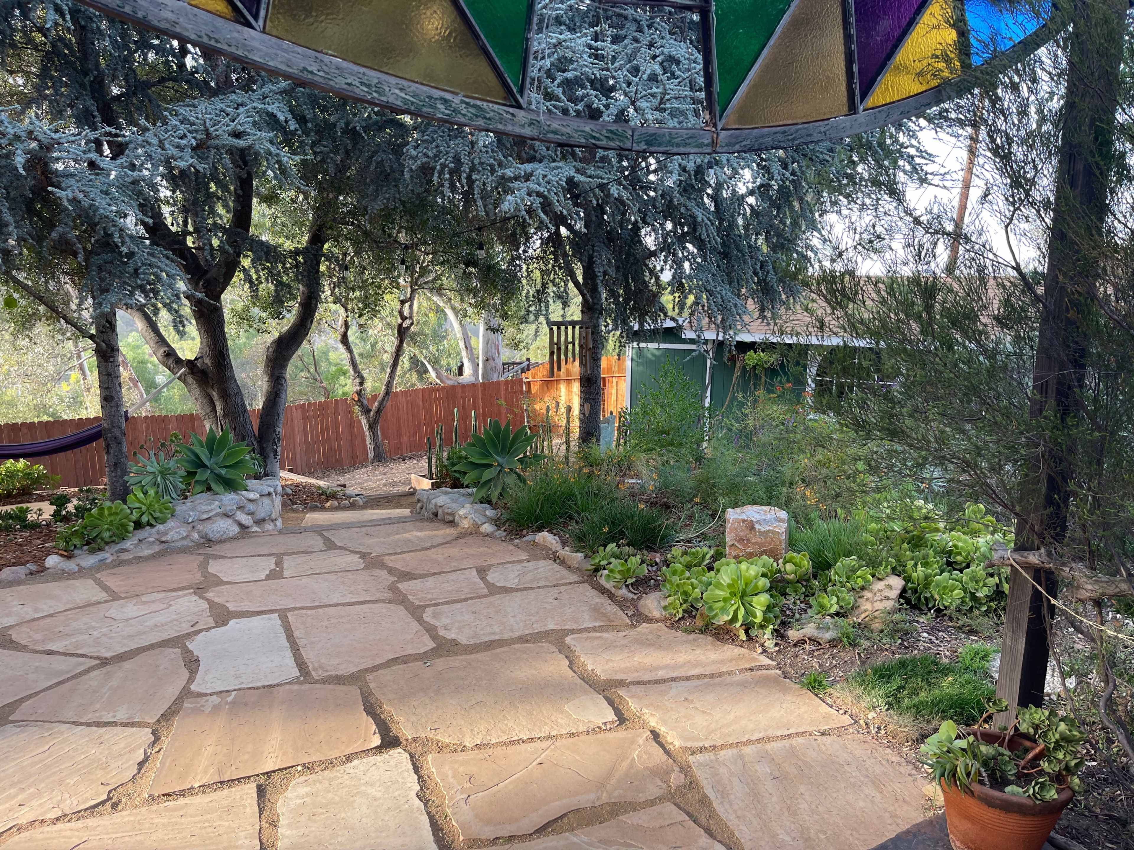 A stone pathway leads through a garden with various plants and a wooden fence in the background.