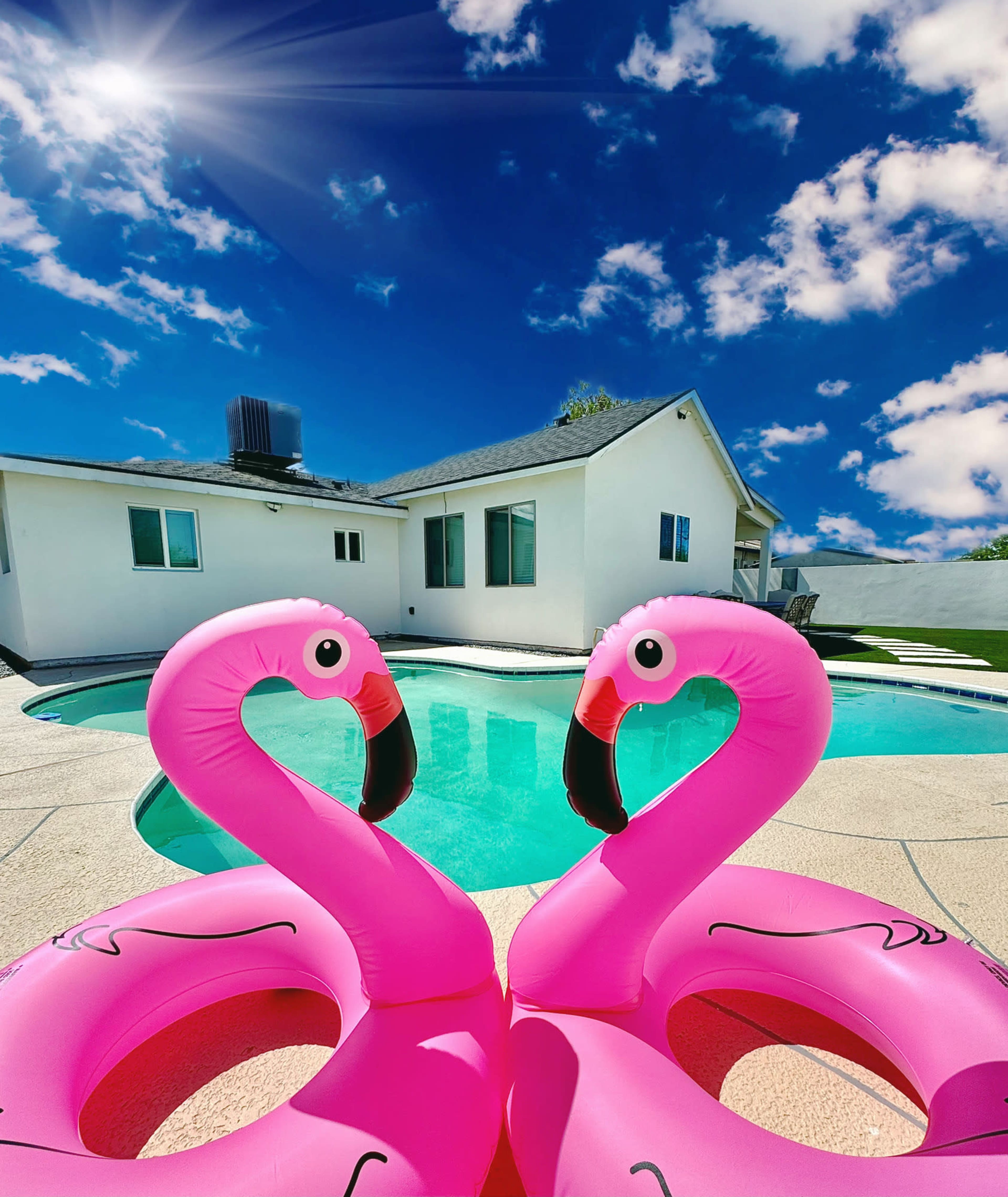 Two pink flamingo floaties are positioned close together in a swimming pool, with a house and blue sky in the background.
