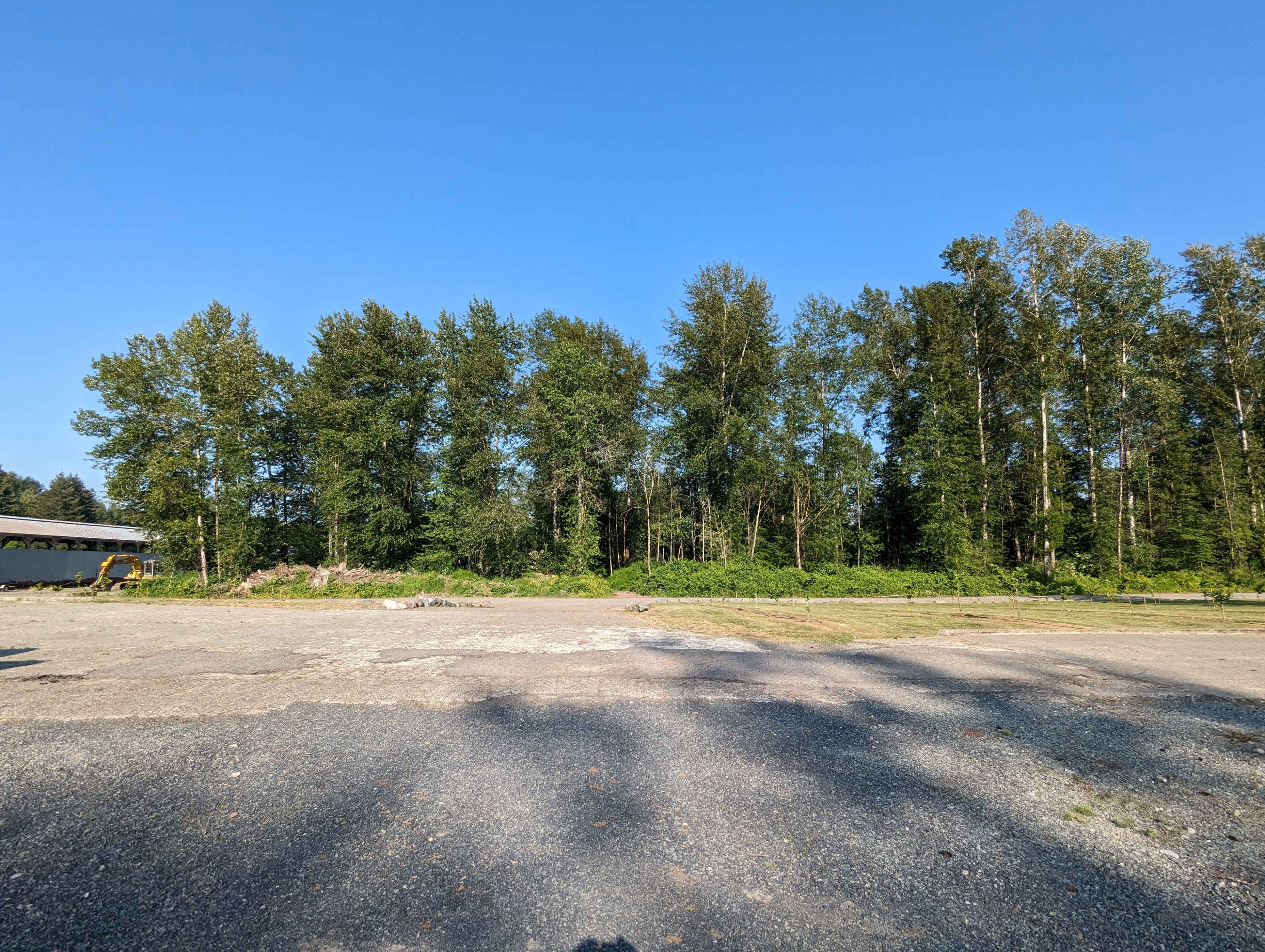 A cleared gravel area is bordered by a line of tall trees under a clear blue sky.