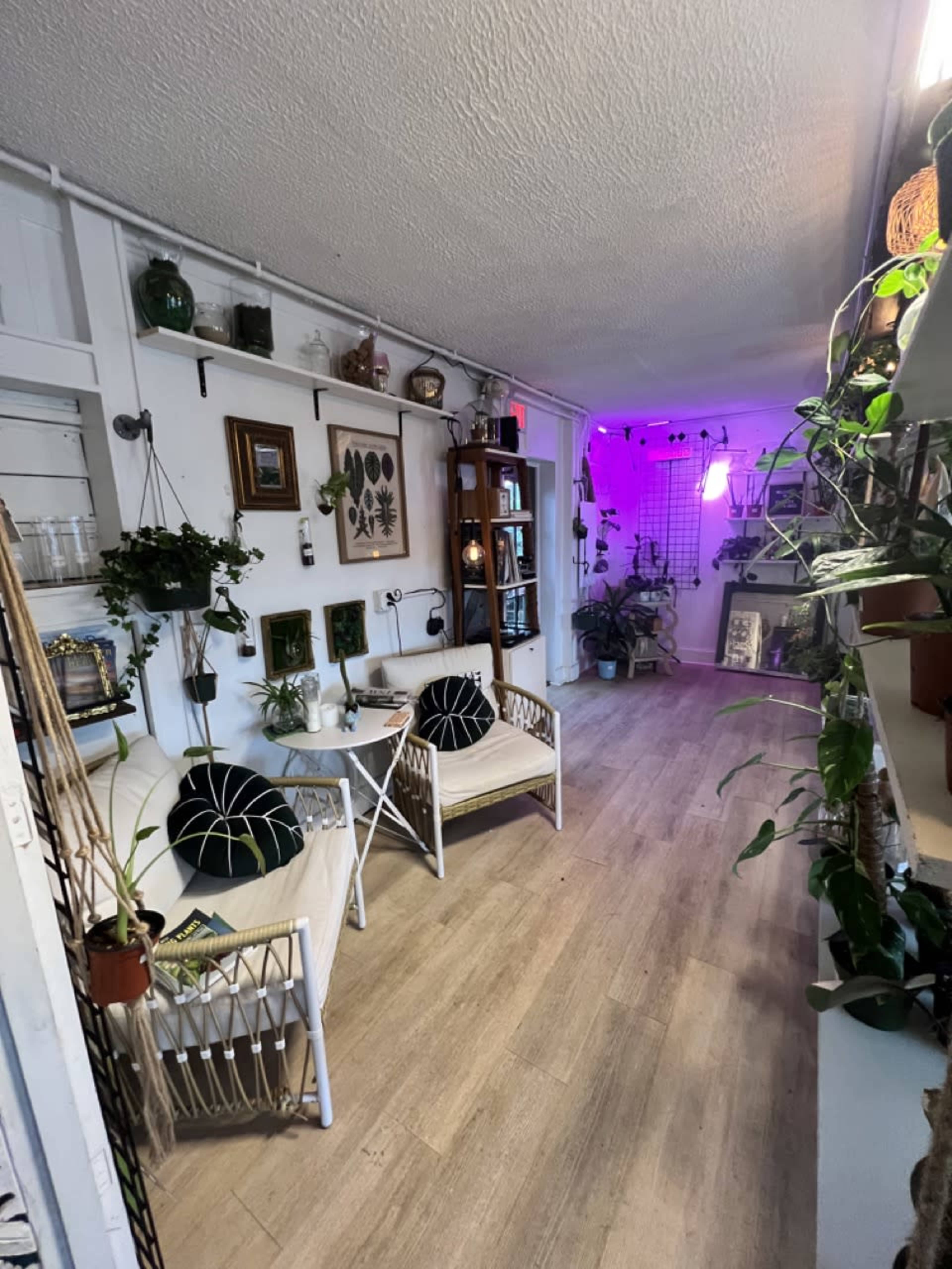 Beachfront Plant Shop & Outdoor Space Image in Flagler Beach, Flagler Beach, FL