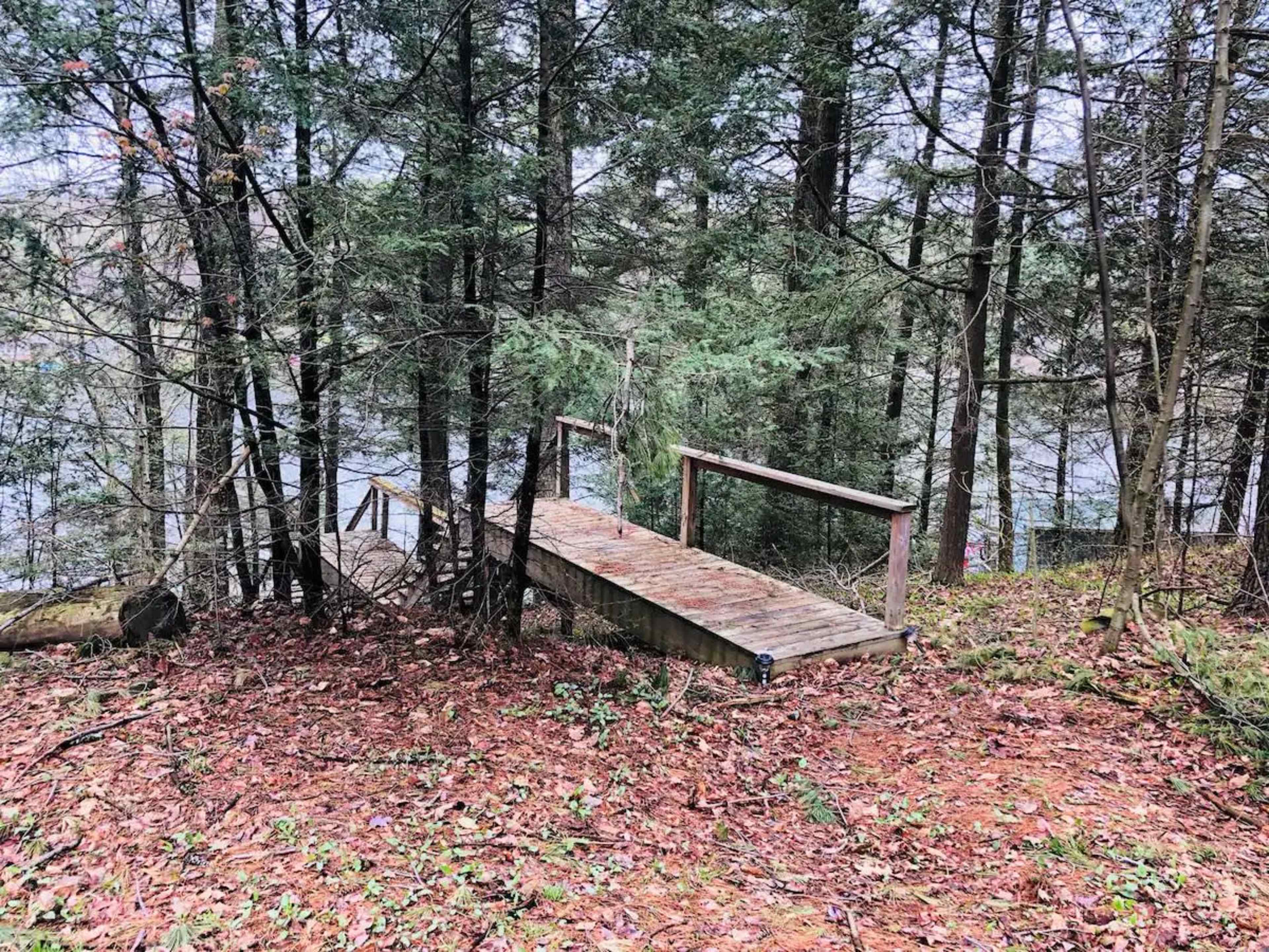 A wooden walkway leads to the edge of a waterbody, surrounded by pine and evergreen trees on a forested hillside.