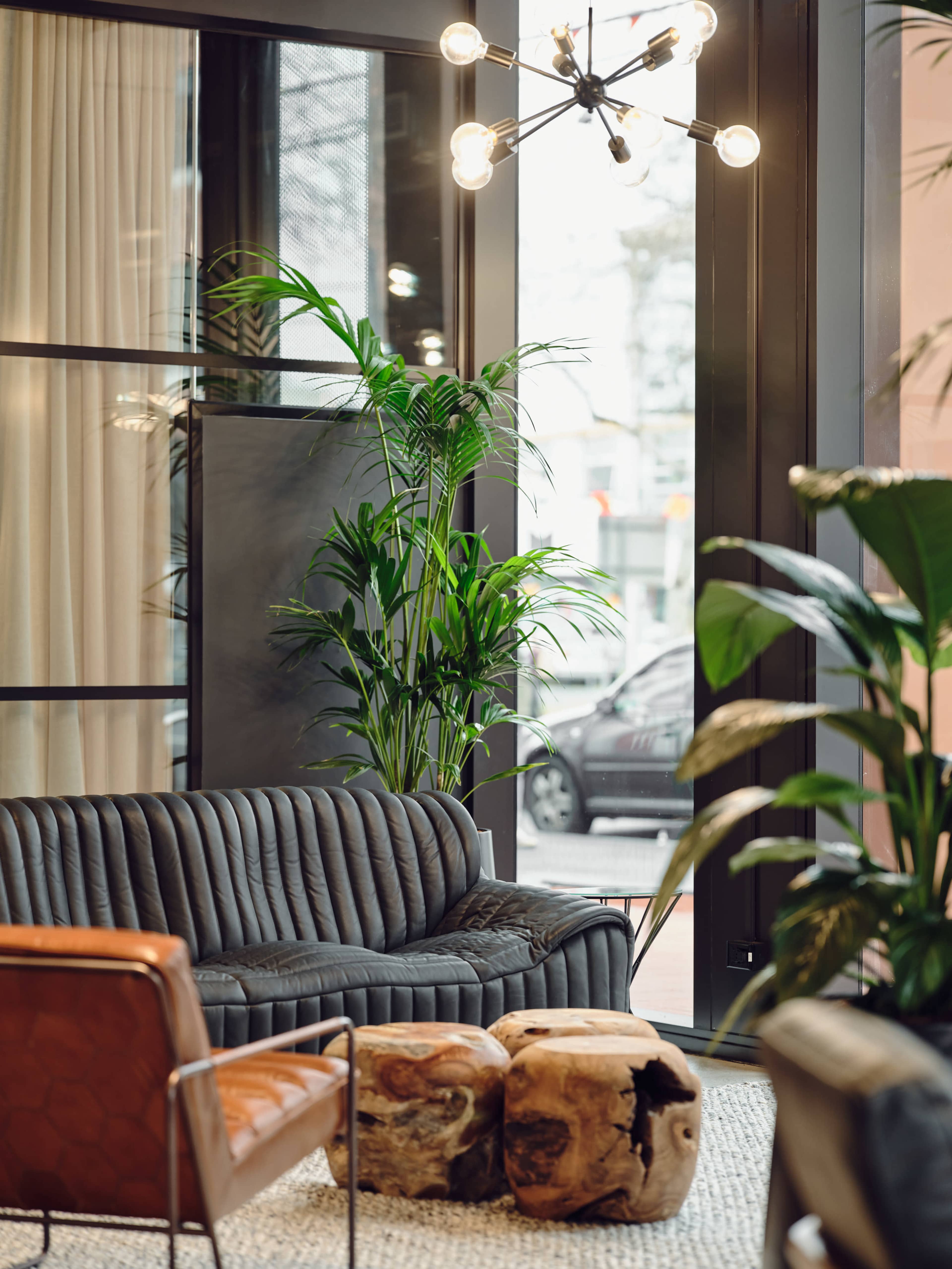 The image shows a modern interior space with a dark gray sofa, a brown leather chair, and a coffee table made of natural wood, surrounded by large potted plants and large windows.