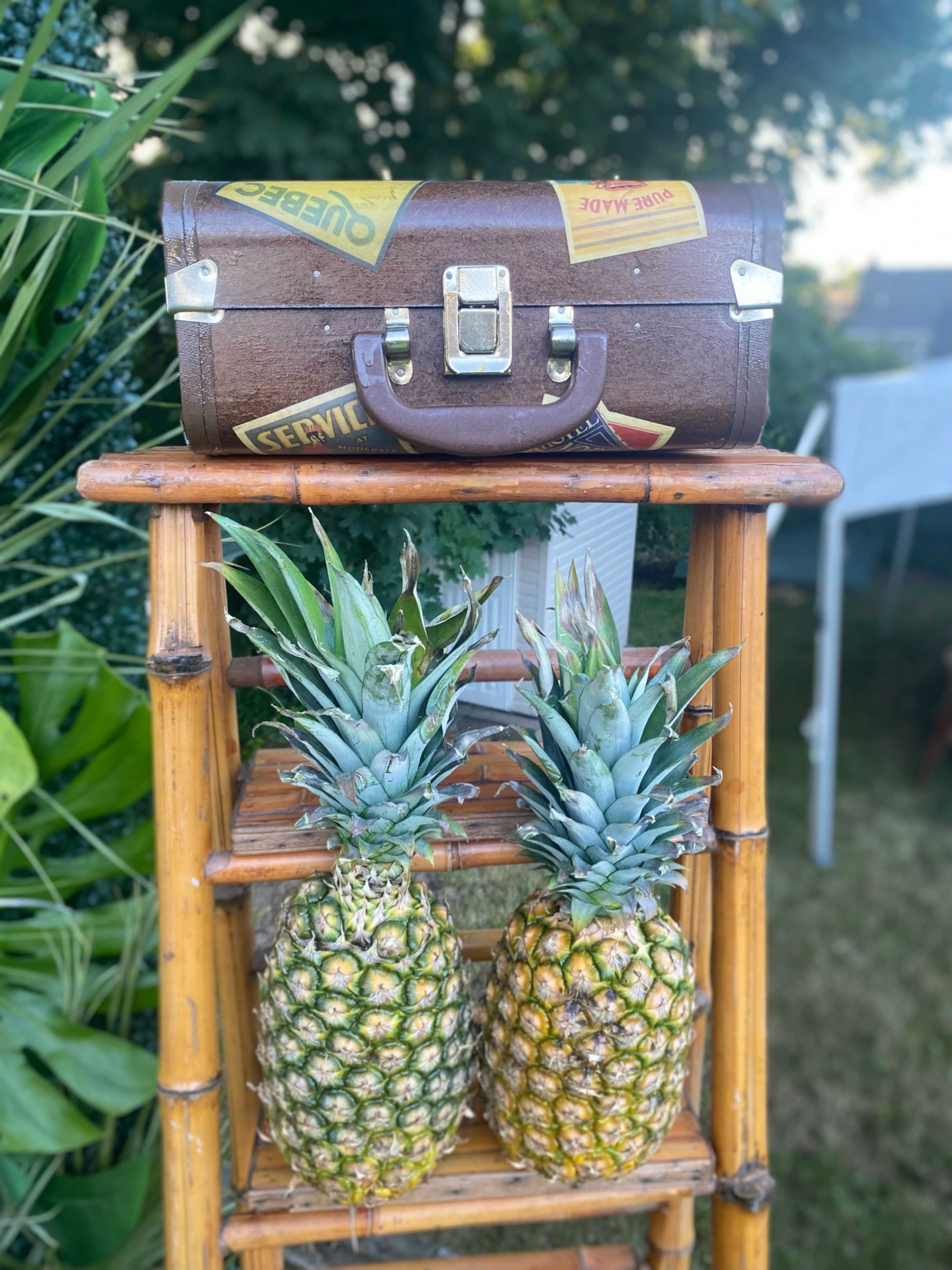 A wooden ladder displays two pineapples beneath a vintage suitcase decorated with travel stickers.