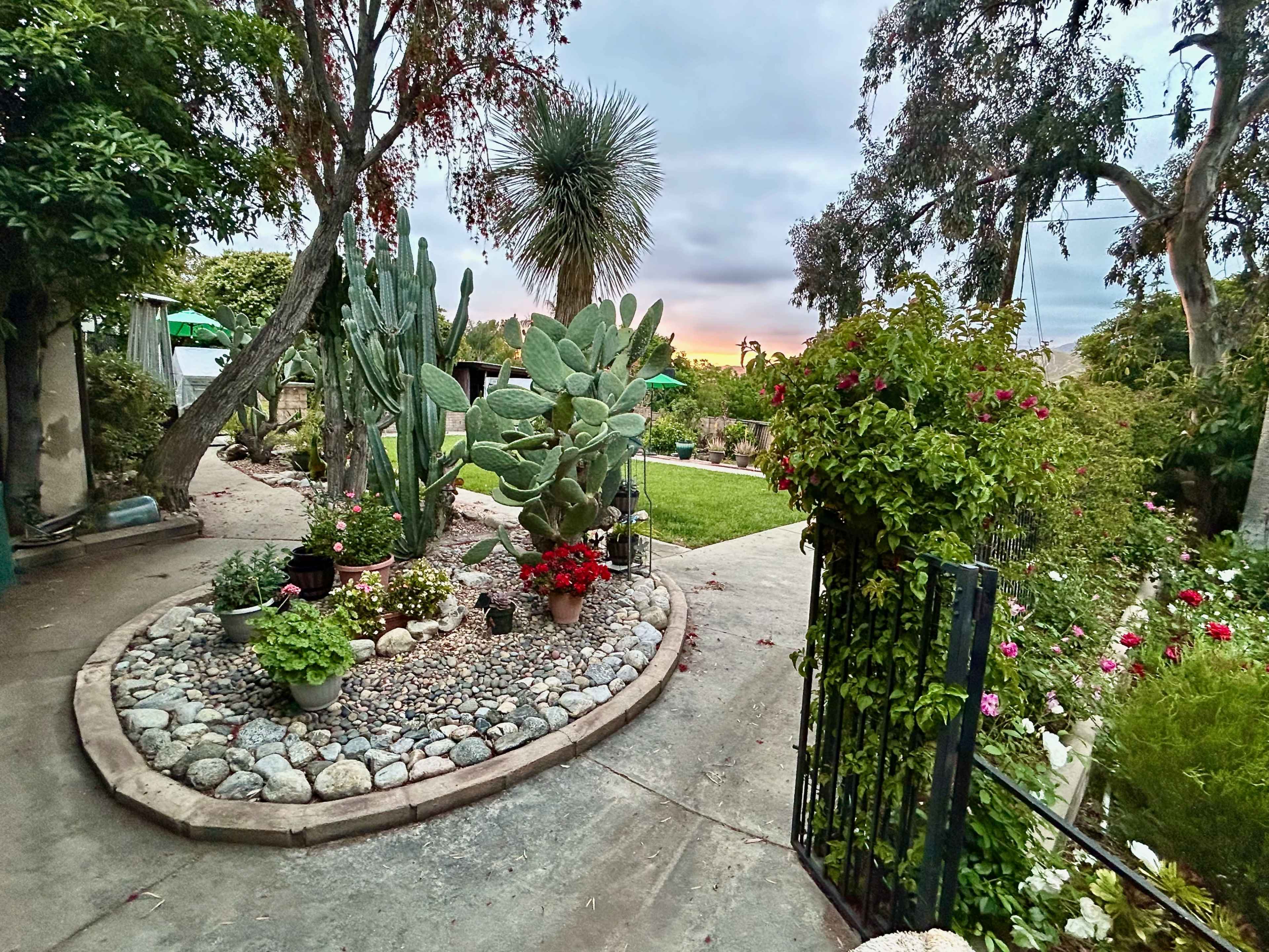 A landscaped garden with a circular stone arrangement containing cacti and vibrant flowers, surrounded by a pathway and a fence.